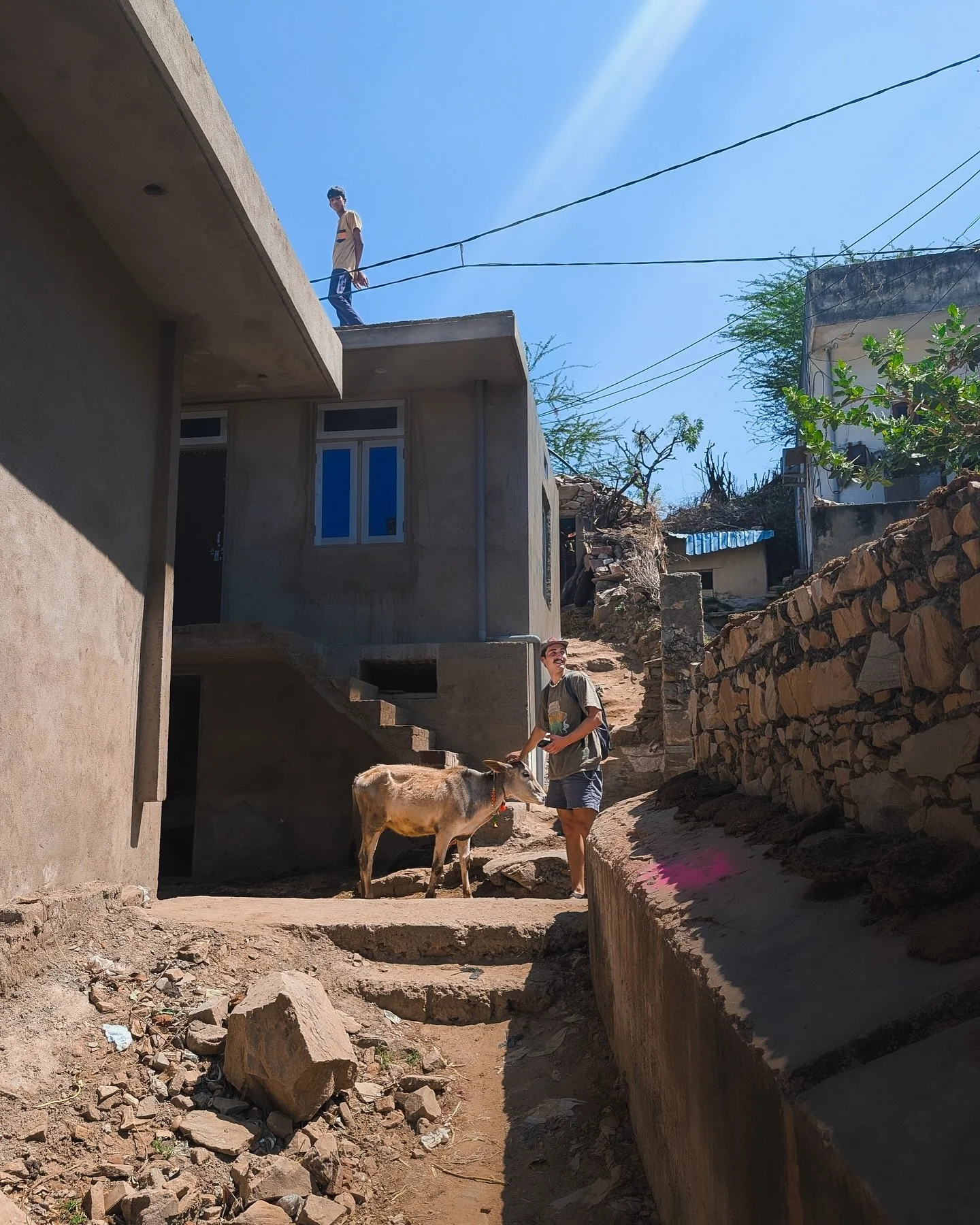 I miss seeing cows in the streets.