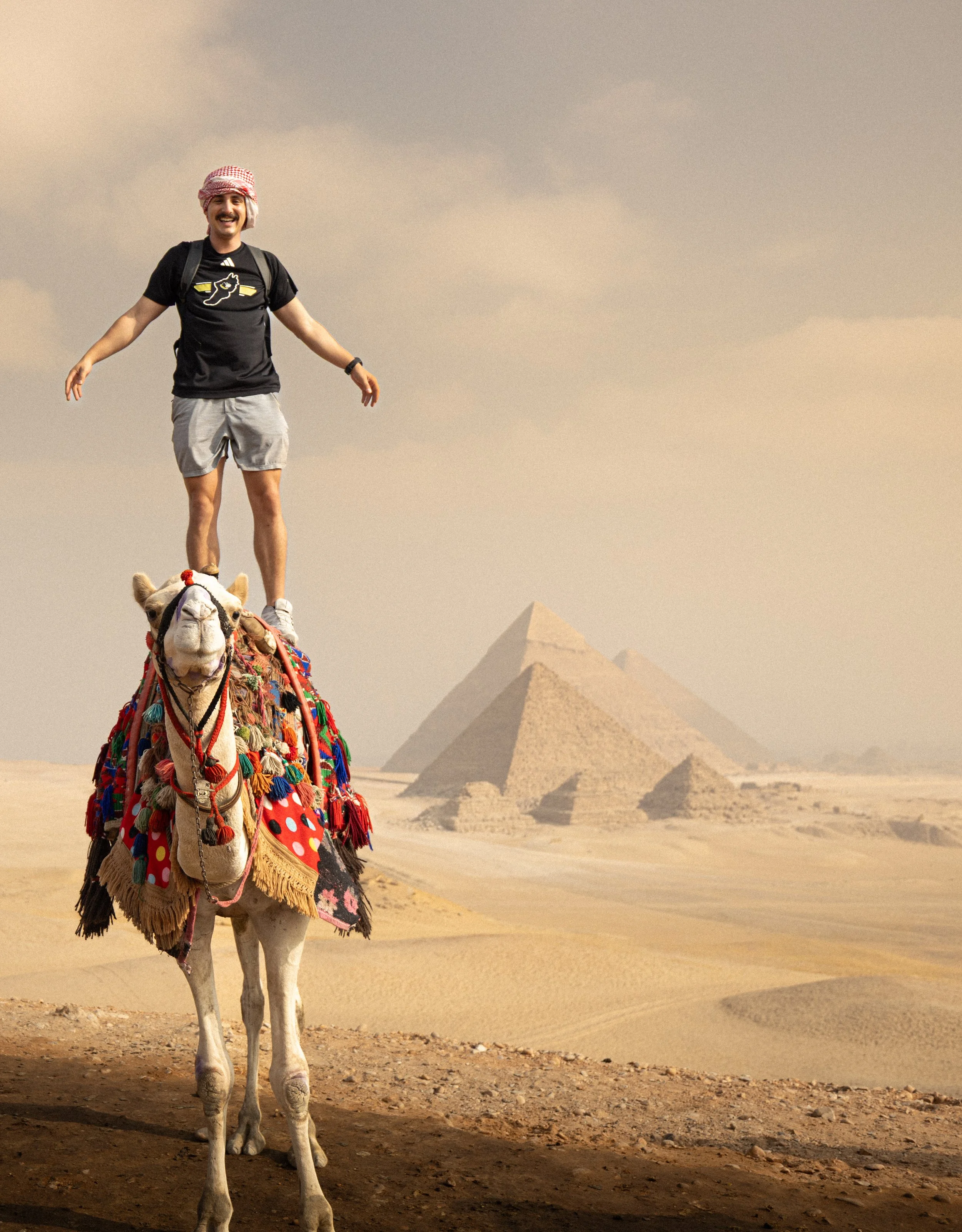 Sebastian is standing on a decorated camel in the Egyptian desert with pyramids in the background.