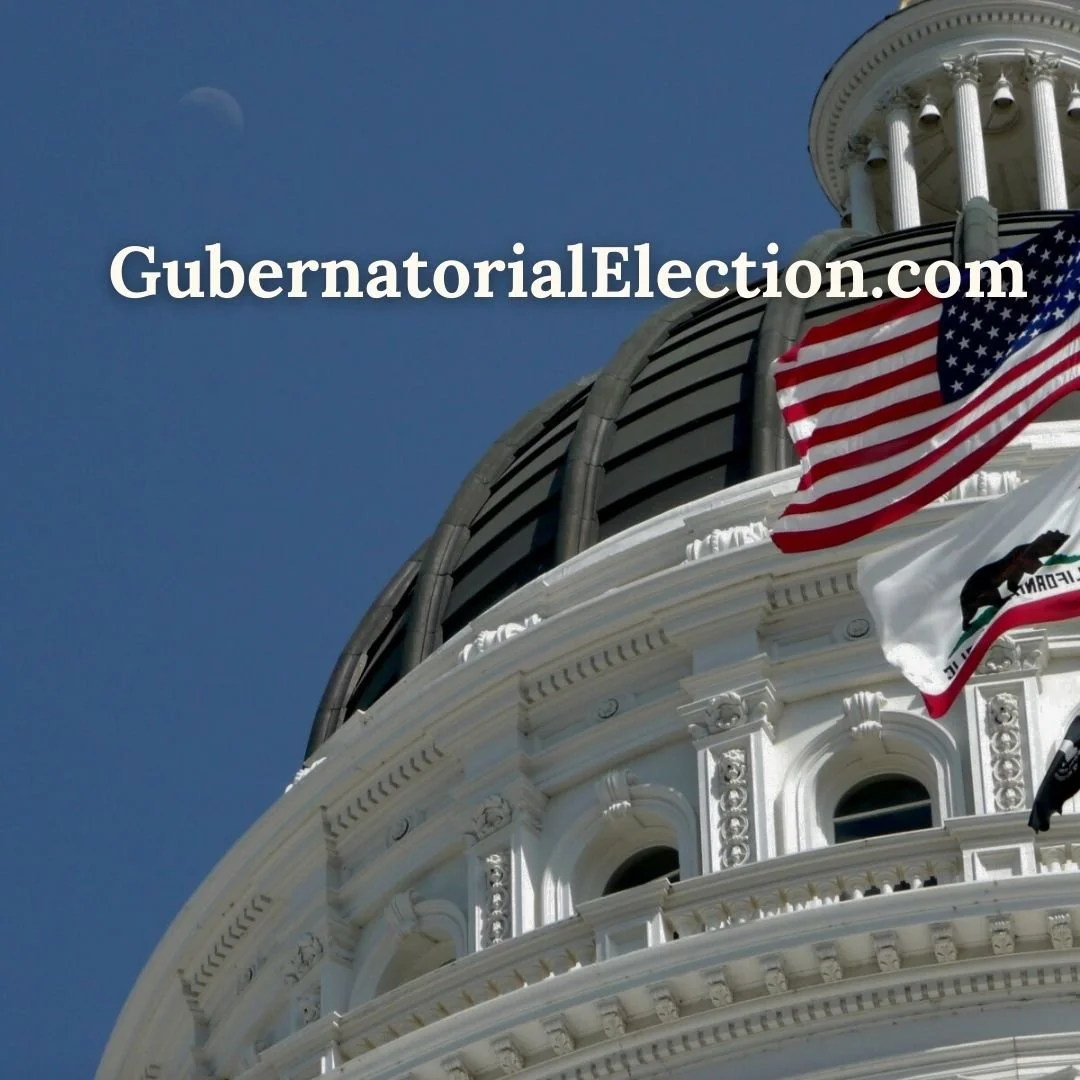 Orange and Gray Modern Project Timeline Graph.jpg