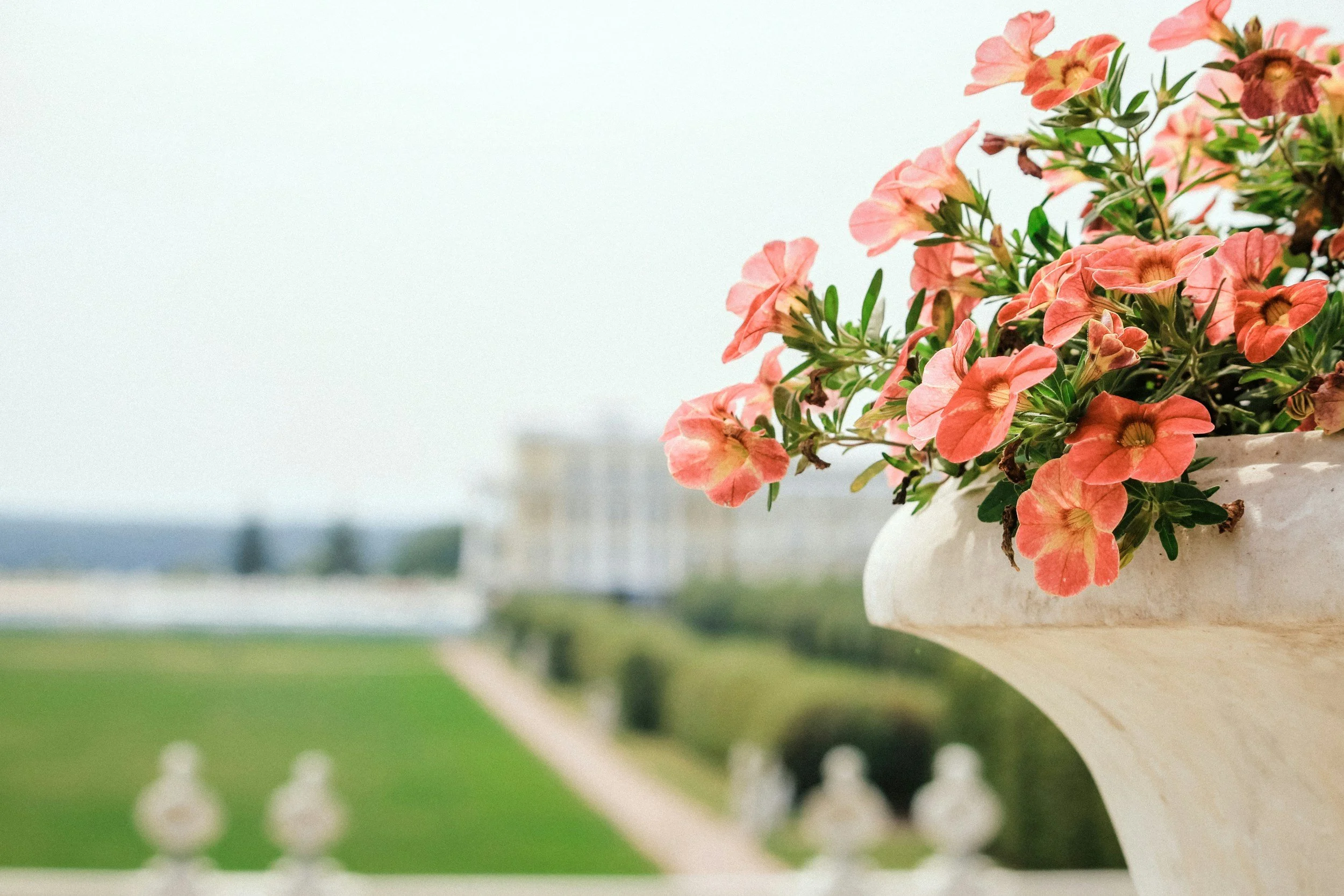 The Complete Buyer’s Guide to Fiberglass Planters: Materials, Construction, Durability &amp; Pricing