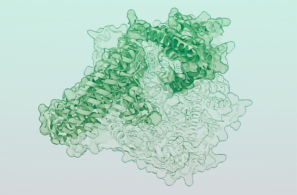 단백질과 시 접기