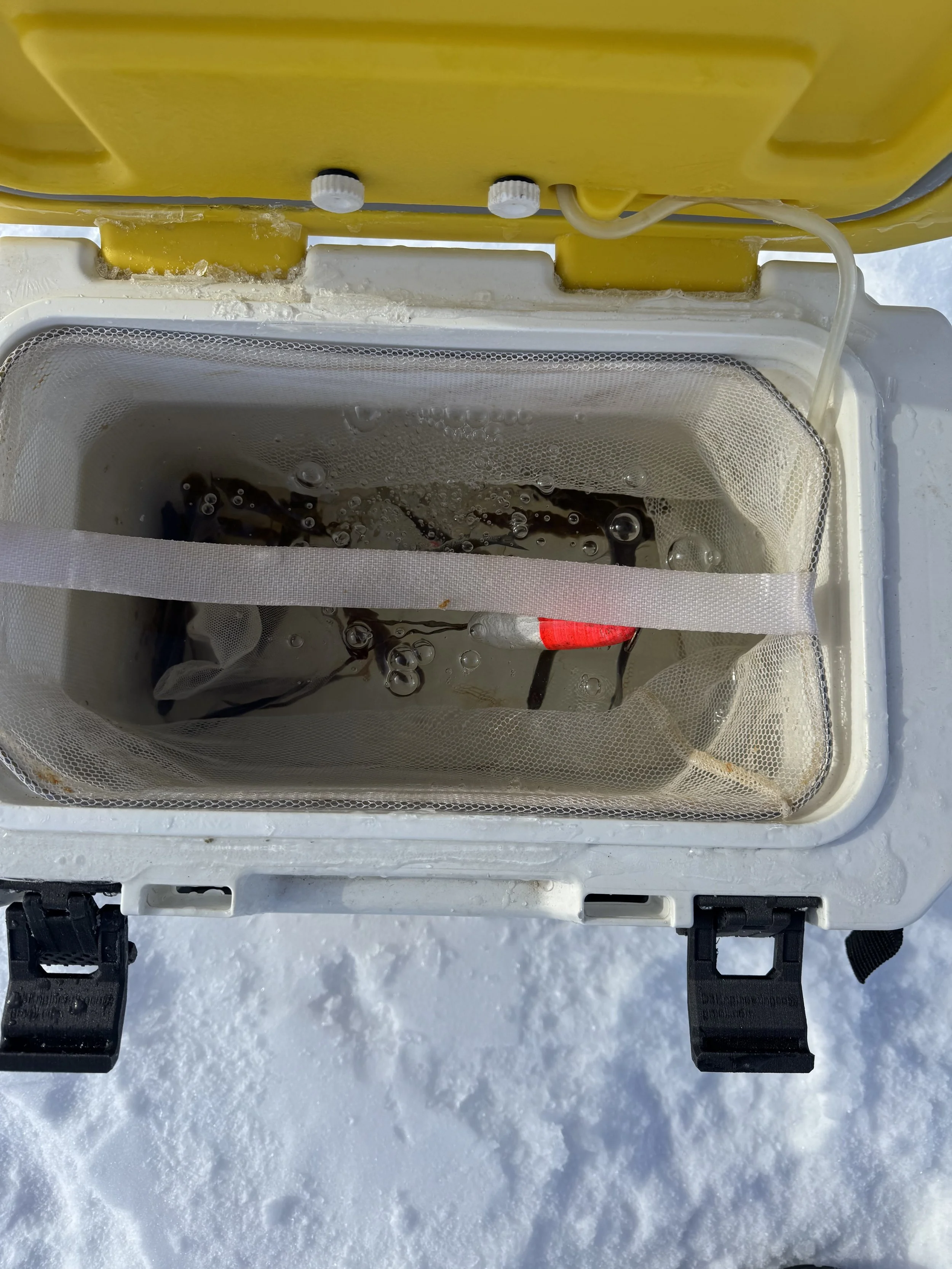 Frabill Magnum Bait Station Aerator .jpeg