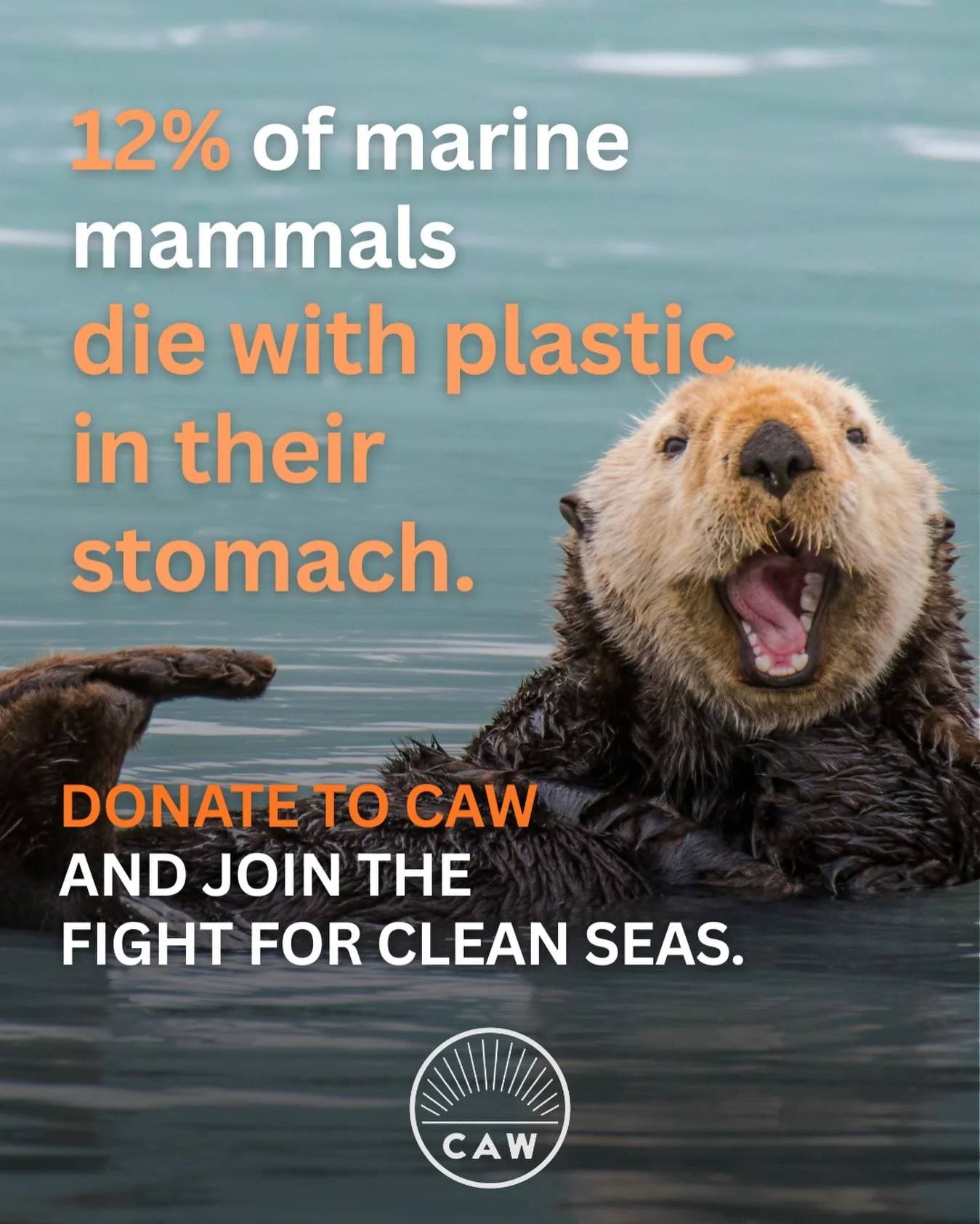 Plastic pollution doesn&rsquo;t stop at harming ocean wildlife every single day. What ends up in the sea eventually makes its way back to us.

At Californians Against Waste, we work upstream to stop plastic pollution before it reaches our oceans, wil