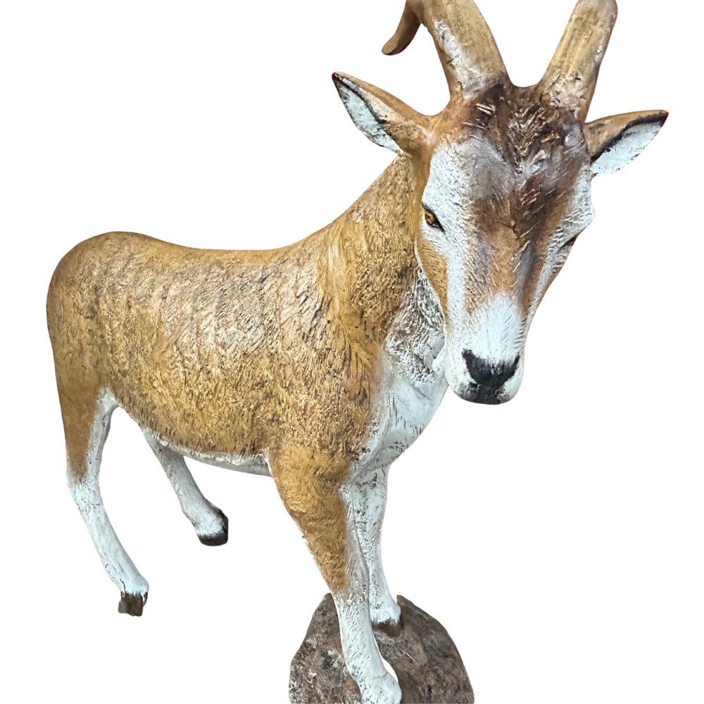 light goat on rock.png