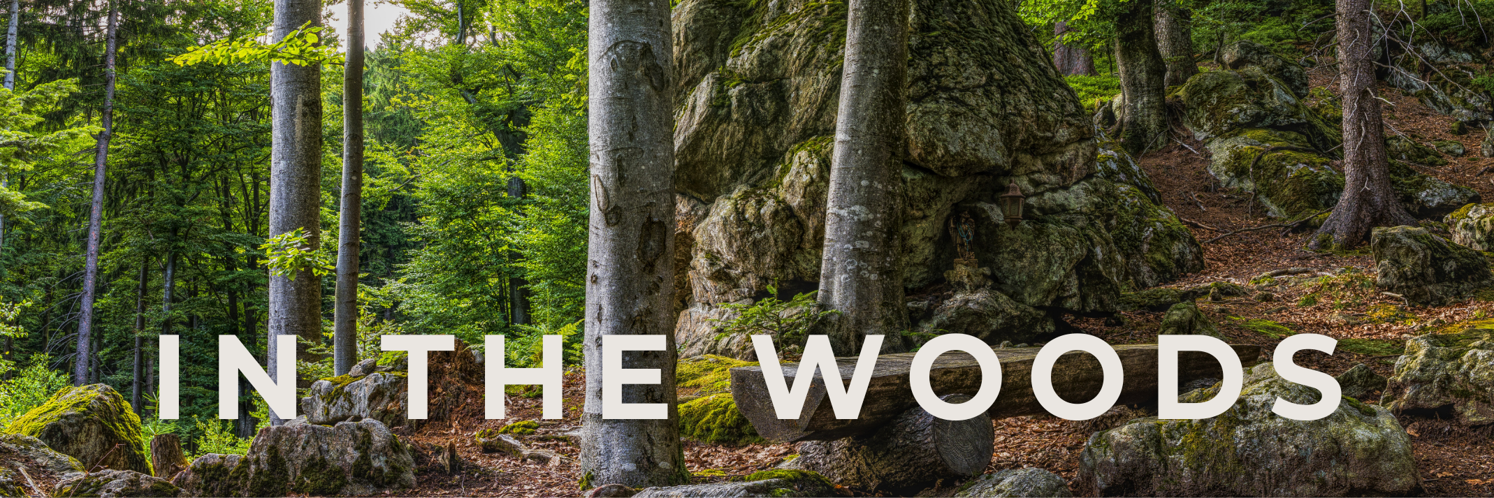 A dense forest scene with tall trees, moss-covered rocks, and a narrow trail winding through the woods. The text 'IN THE WOODS' is overlaid at the bottom of the image.