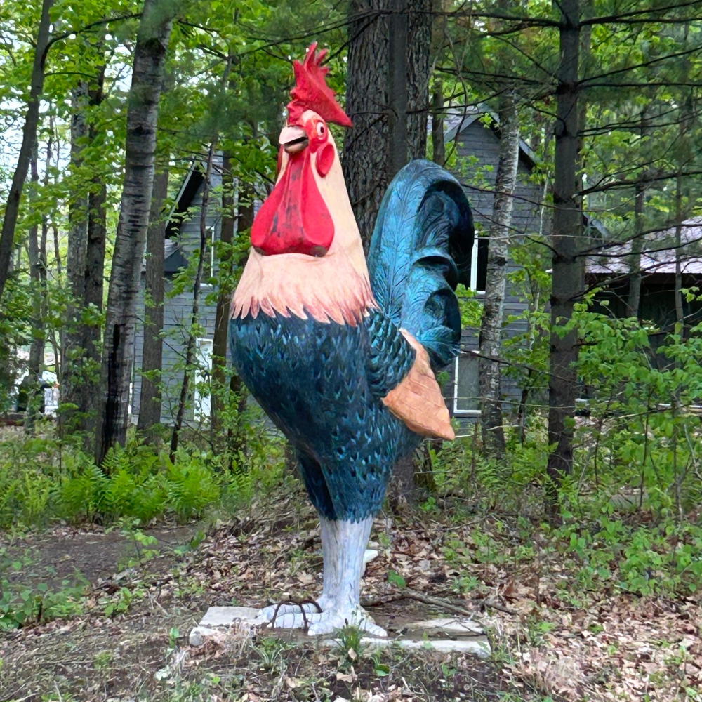 rooster2.png
