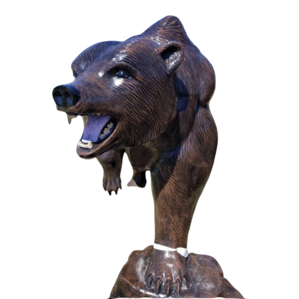 Grizzly Bear on a Rock