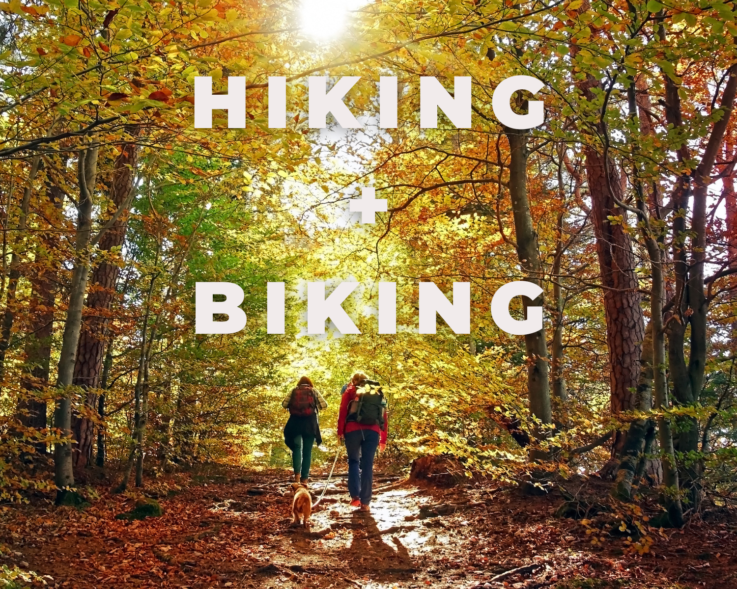 Two hikers walking through a forest trail with autumn foliage, accompanied by a dog, during daytime sunlight.