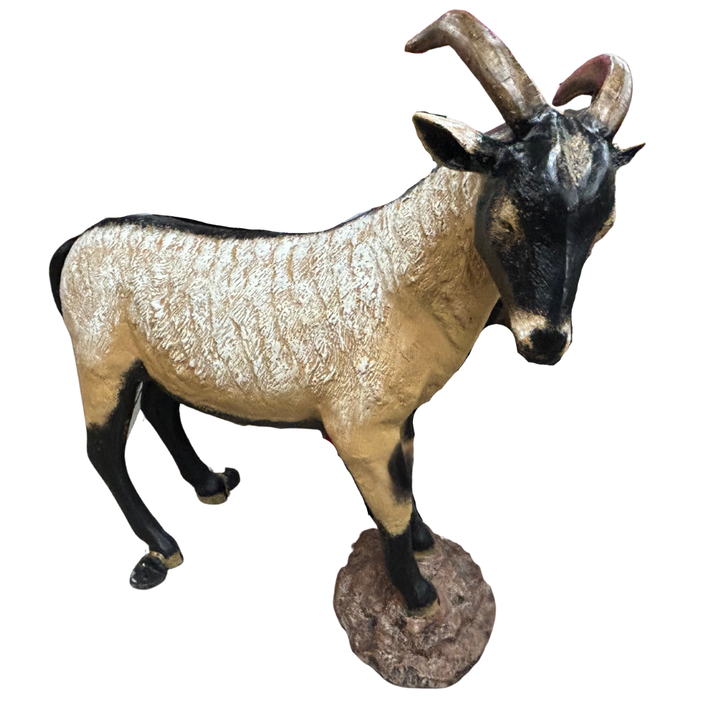 Goat Perched on a Rock