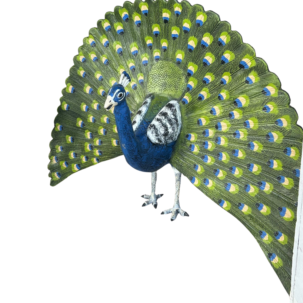 peacock side.png