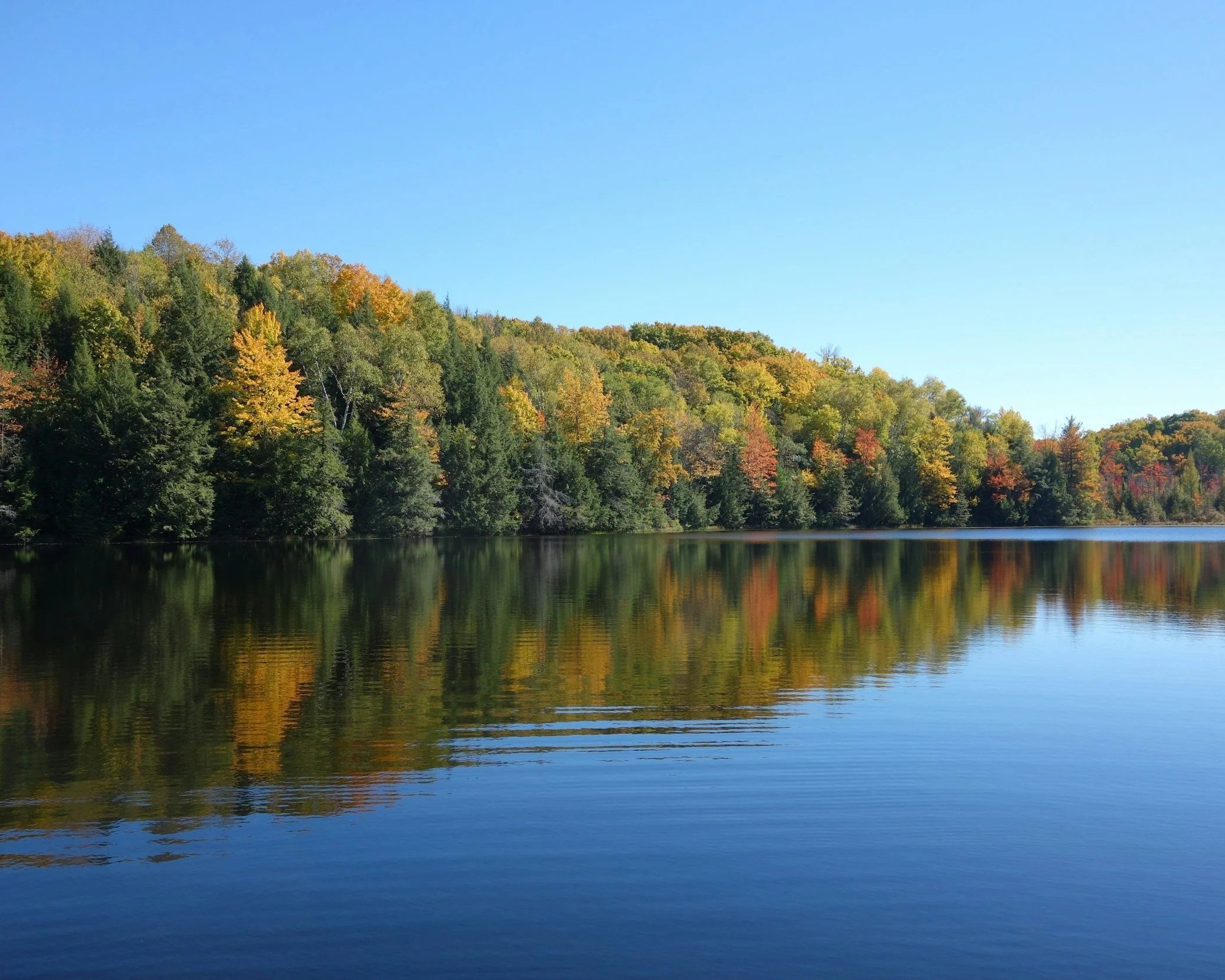 A calm lake reflecting a forested hillside with trees showing fall colors under a clear blue sky.