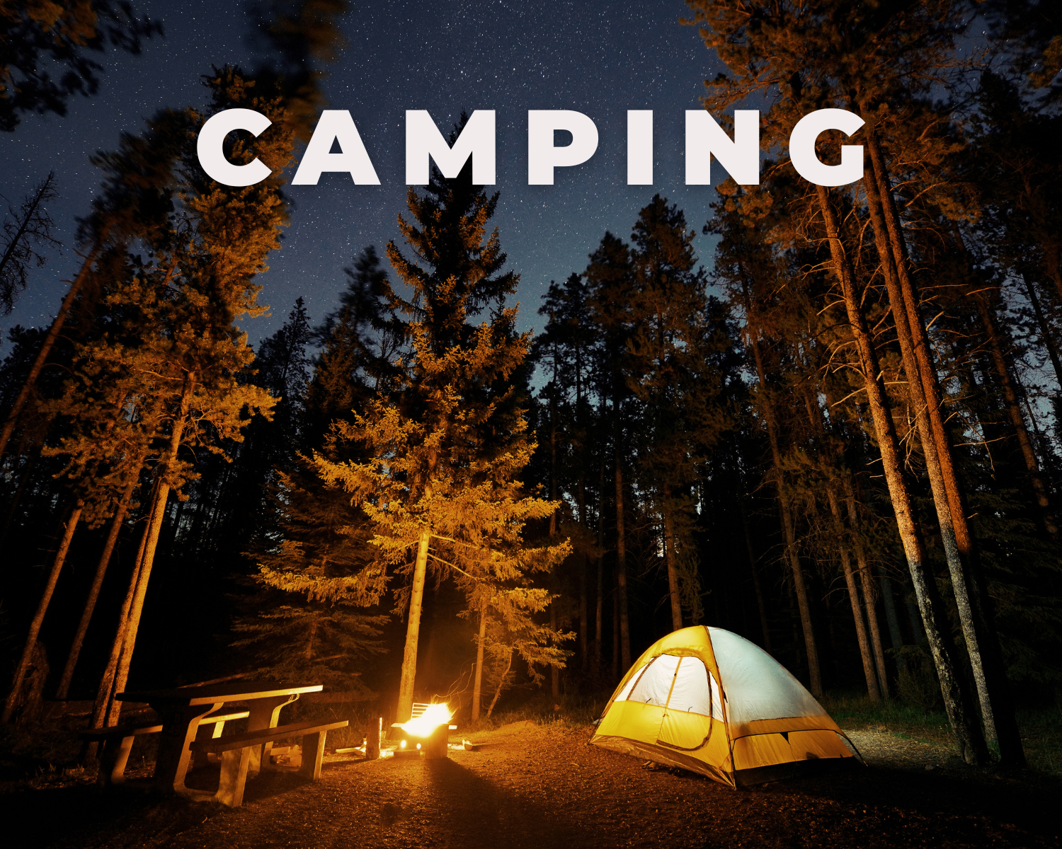 A camping scene at night with a lit campfire, a picnic table, and a yellow tent surrounded by tall trees under a starry sky