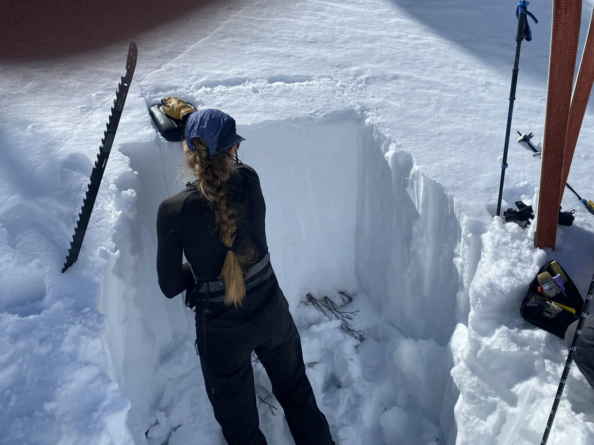 Custom Avalanche Education
