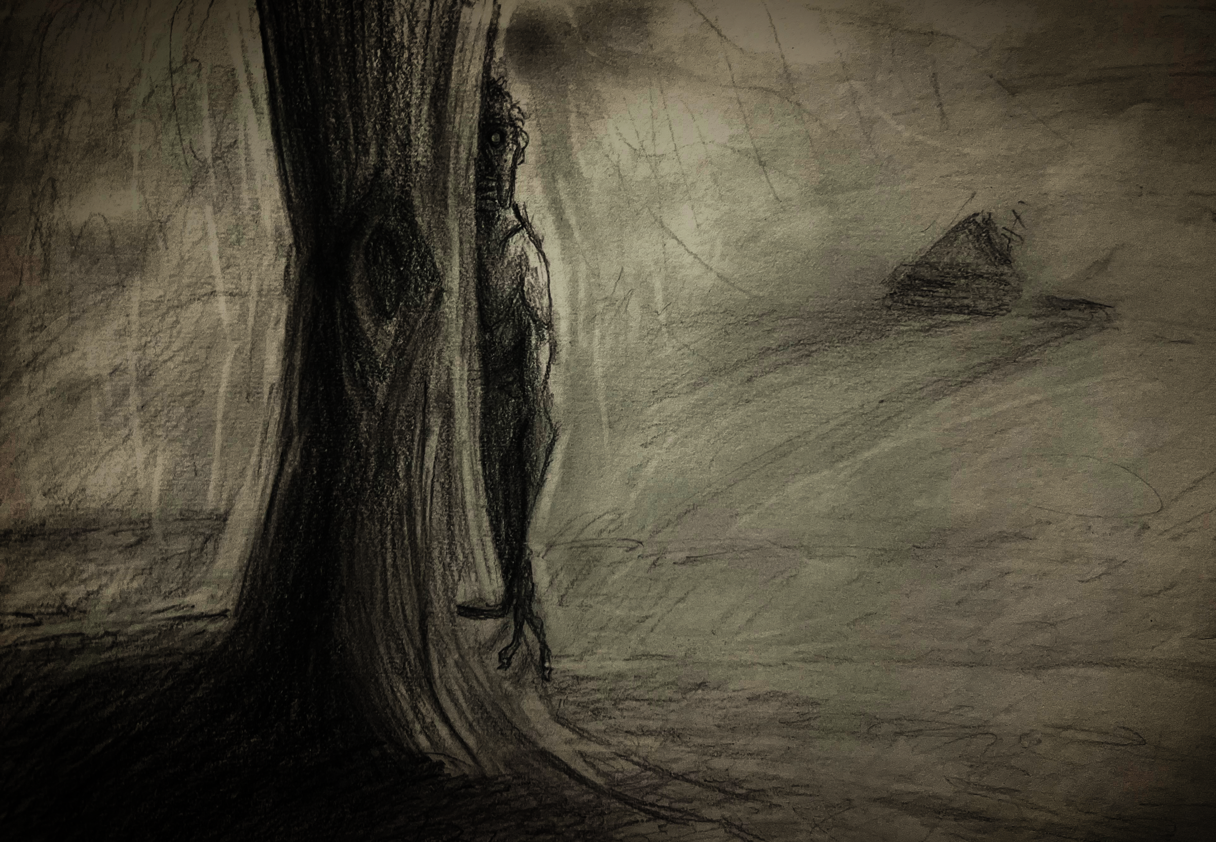 ILLUSTRATION & GRAPHIC DESIGN