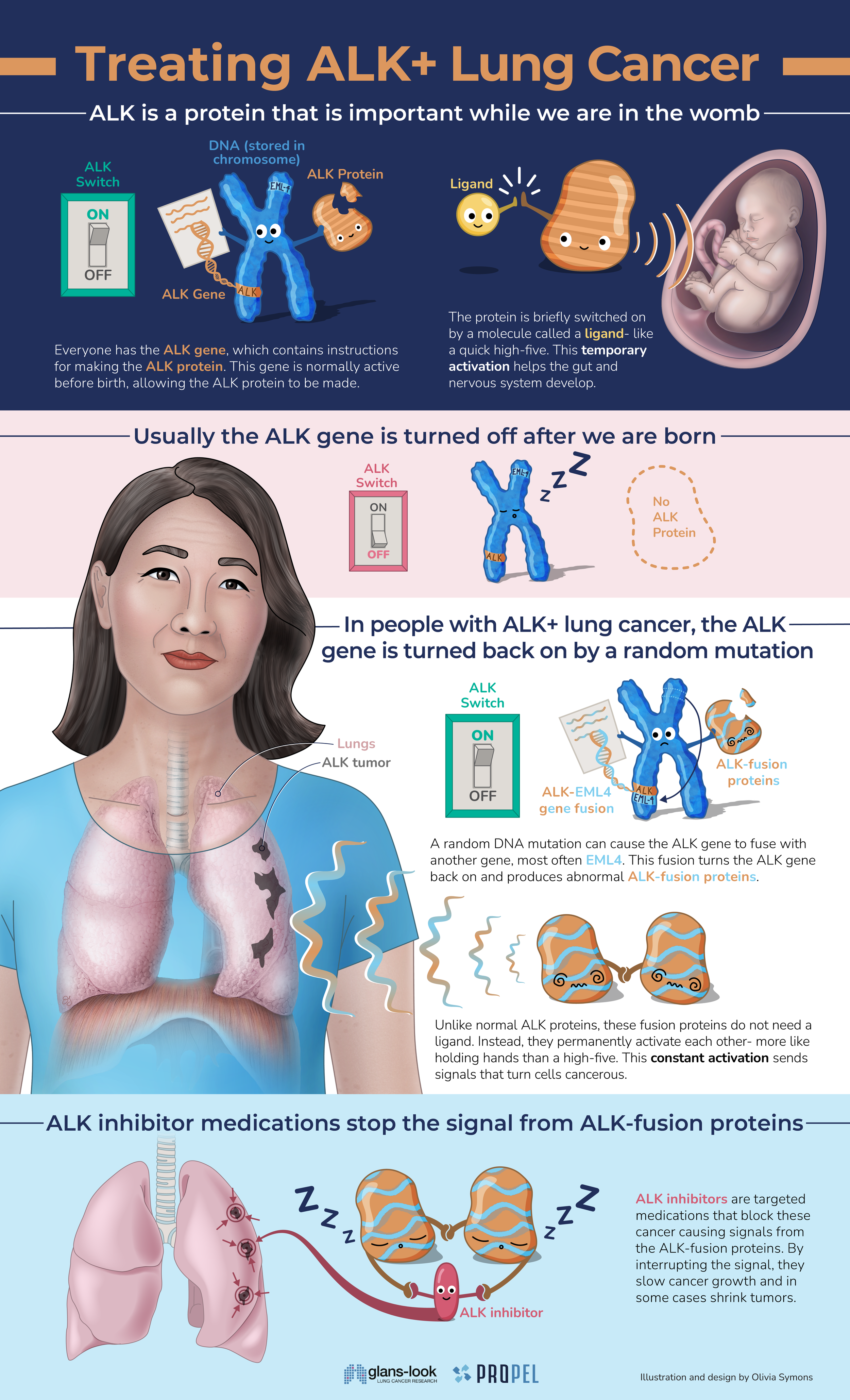 illustrations include ALK switch, DNA with ALK gene, ALK protein, ligand molecule, baby in womb, ALK-fusion proteins, woman with lungs with 3 tumours shown transparently, ALK inhibitor. Find illustration text written below.