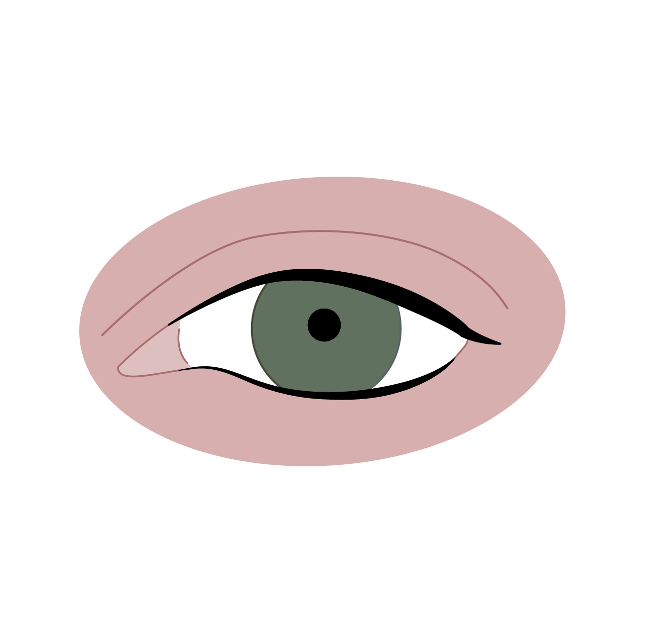 A minimalist digital illustration of a human eye with a green iris surrounded by pink skin.