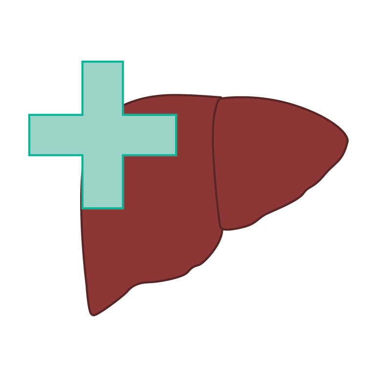 liver with plus sign