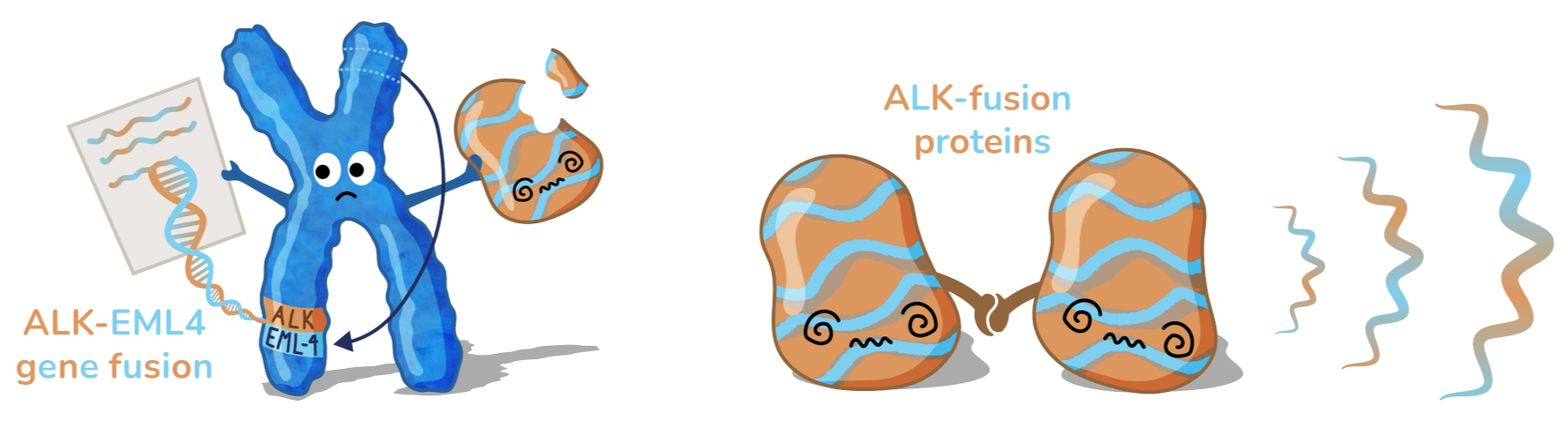 Cartoon illustration of a blue chromosome with eyes and limbs, connecting to two smaller brown and blue striped structures, representing proteins, with DNA strands on the left and wavy lines on the right, labeled with scientific terms.
