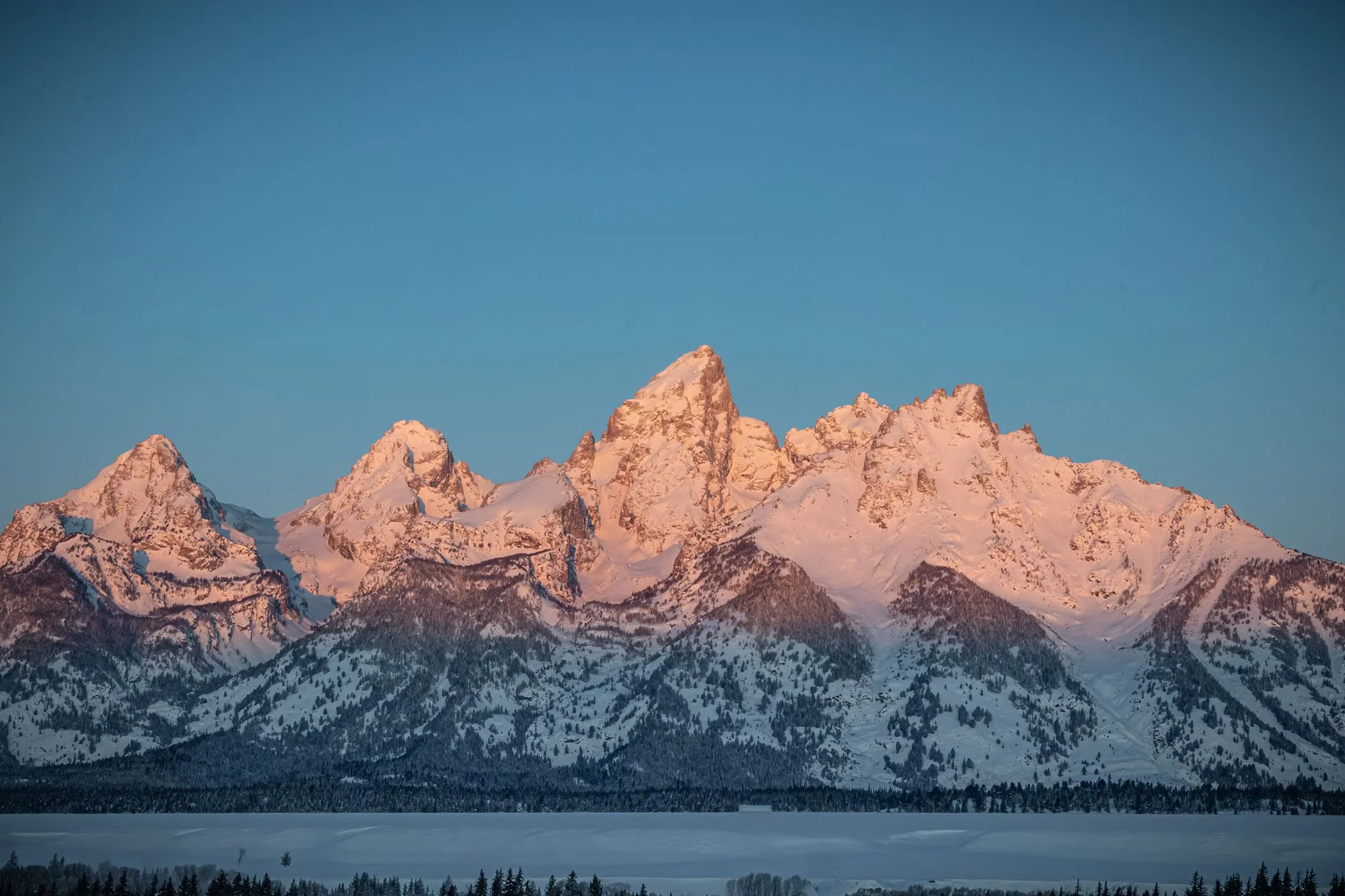 Snow-covered mountain peaks illuminated by pink light with a clear blue sky overhead and a snowy forest at the base.