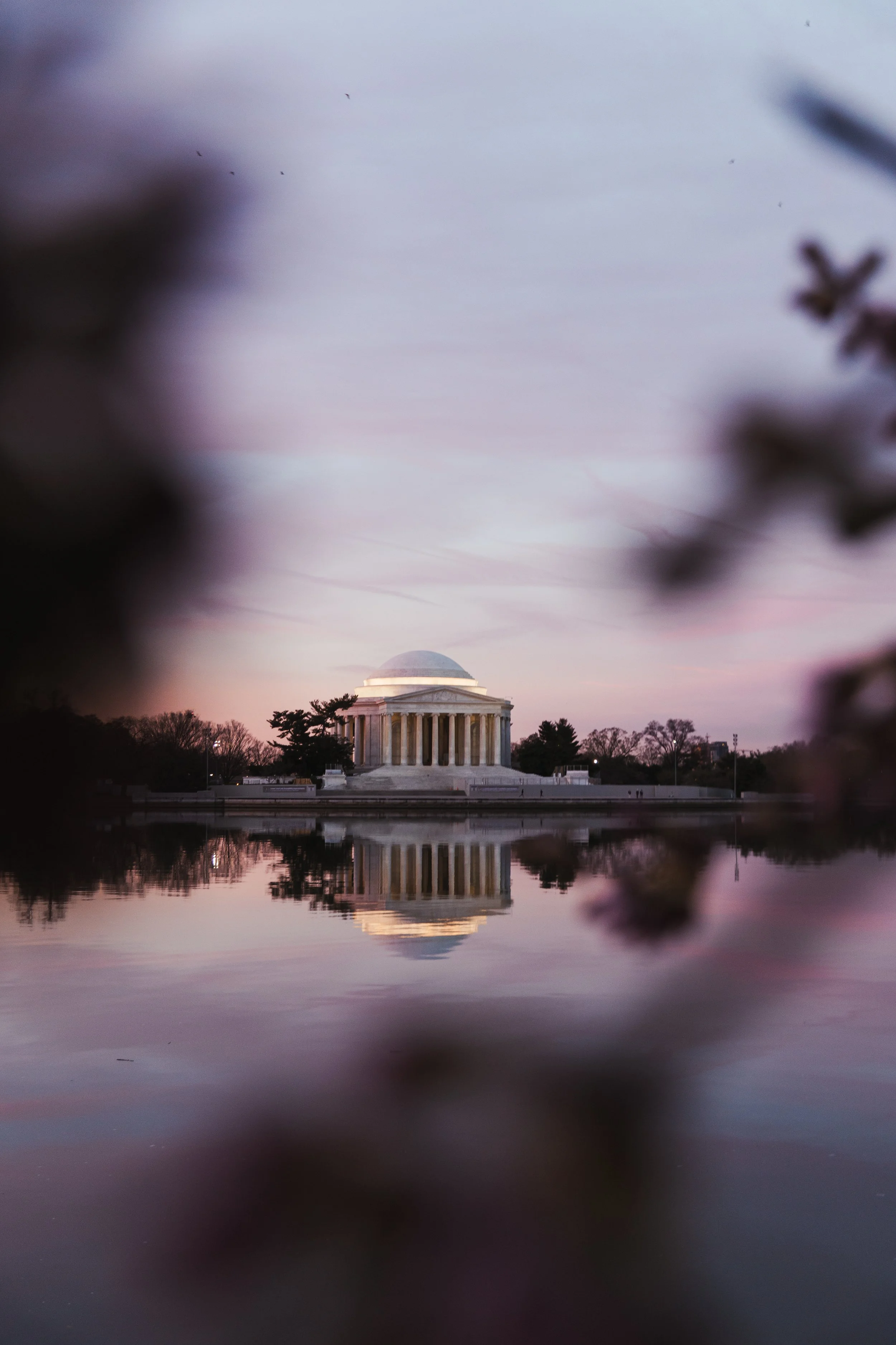 The Lincoln Memorial reflected on the water during sunset with pink and purple sky, blurred branches in the foreground.