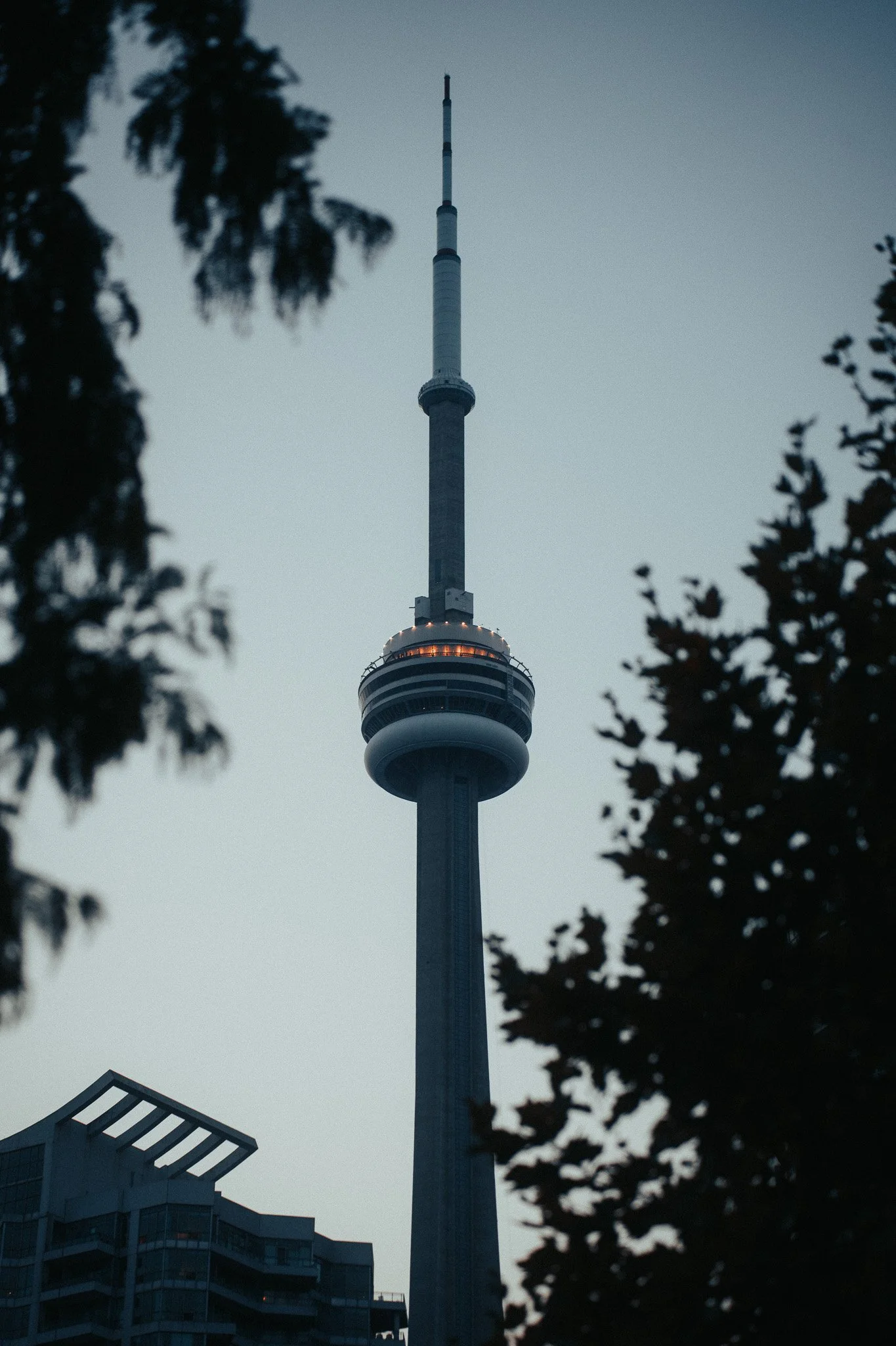 Tall television tower with observation deck, framed by trees, against a dusky sky.