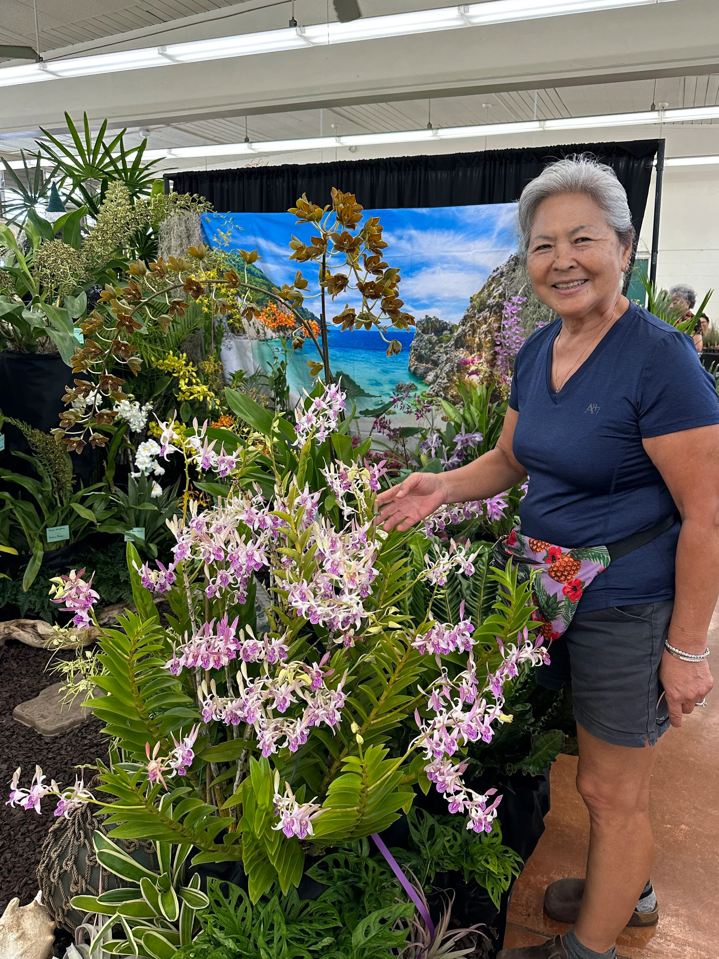 2025 Aiea Best In Show & Best Flowering Specimen  
Dendrobium Lorrie Mortimer
Exhibitor Kim Ilo

