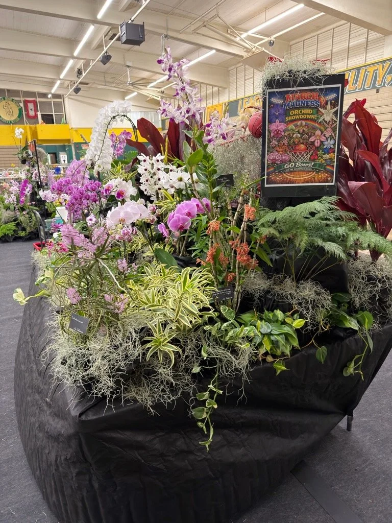 The winning AOC Tabletop Display at the 2026 Kunia show