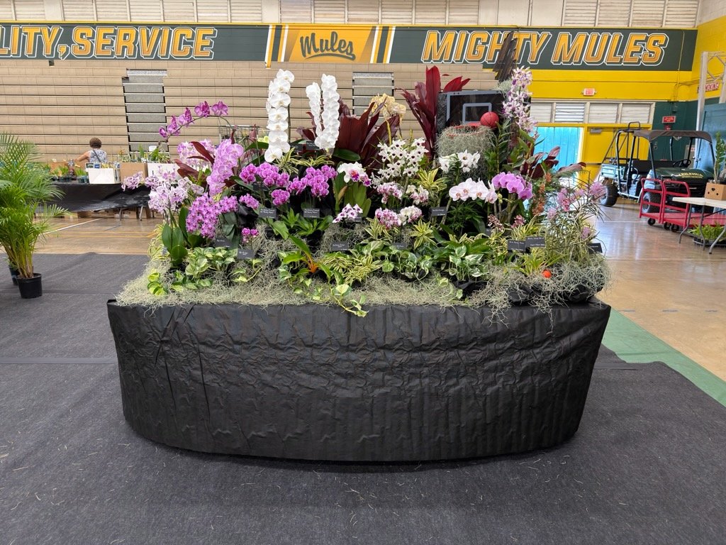 The winning AOC Tabletop Display at the 2026 Kunia show