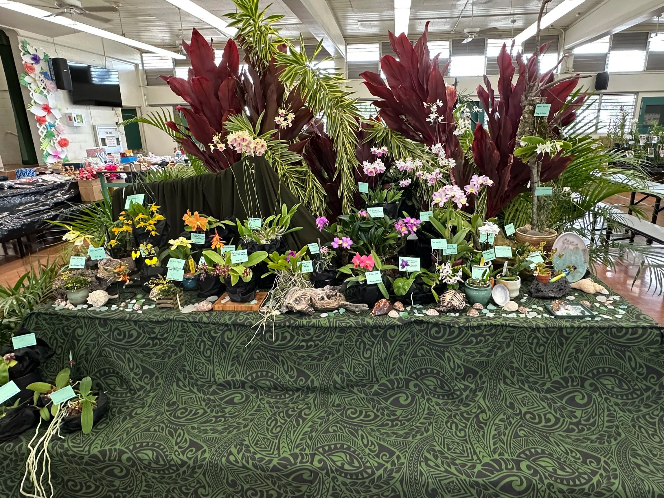 2025 AOC Show Miniature Display