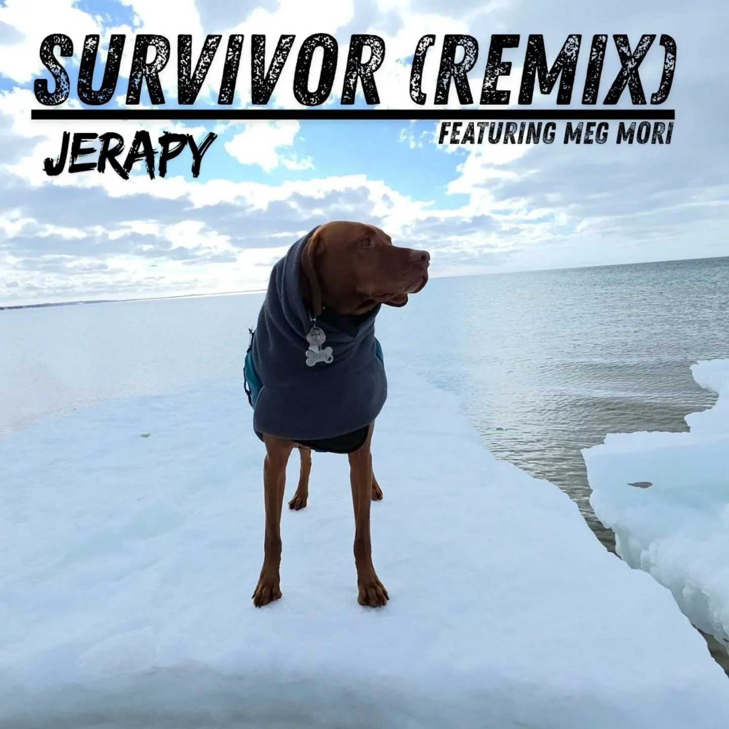 ✨️ "Survivor - Remix (featuring Meg Mori)" by Jerapy and produced (and everything else) by the studio wizard of Copley Square @mikemiduramusic @CyberSoundRecordingStudios 
Volin 🎻 by @abedewing
Thank you team 👌

✍️ 
This song I wrote is a