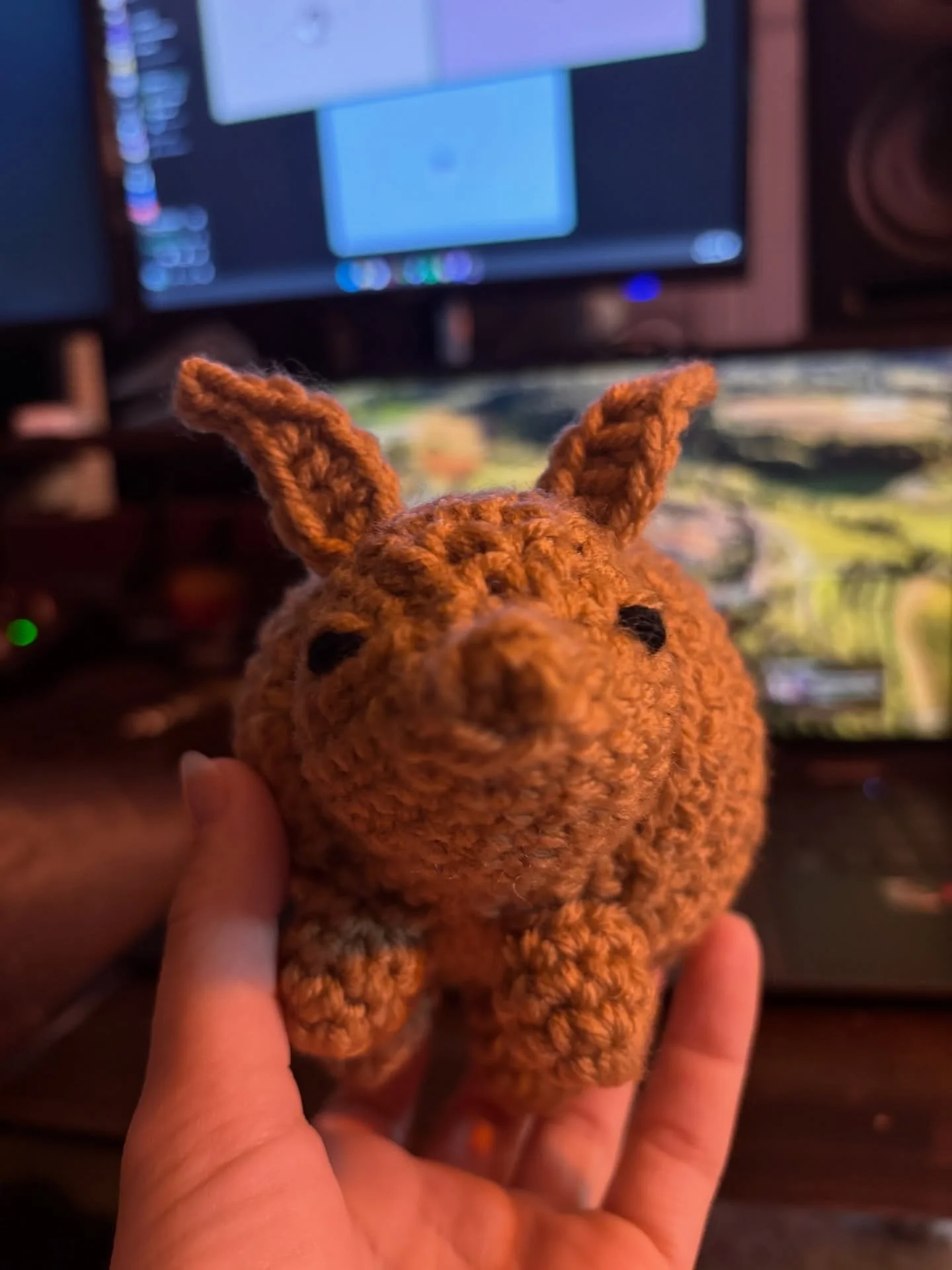 Arnie the armadillo. I love him. He&rsquo;s found his home with @vivalascrafties_ !! 💚

I think I need to make more Arnies&hellip; an ARMY OF ARNIES. Yes?

I used the Emilio the Armadillo pattern by @elisascrochet as a base and added a few personal 