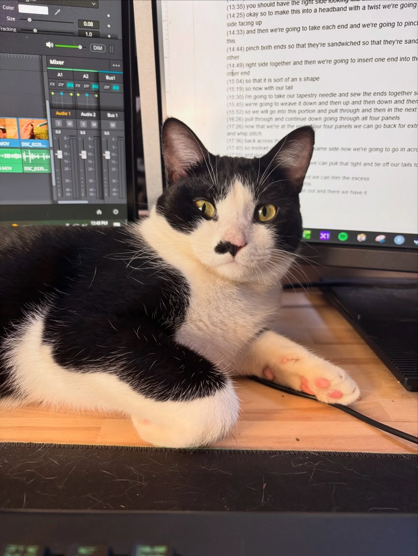 Obi wishes everyone Happy Holidays! 🎄🐱 he&rsquo;s not lazy, he&rsquo;s supervising okay?

#cats_of_instagram #crochet #videoediting #youtube #merryxmas #yule #crochetersofinstagram #handmade #fiberart #smallbusiness #womanownedbusiness