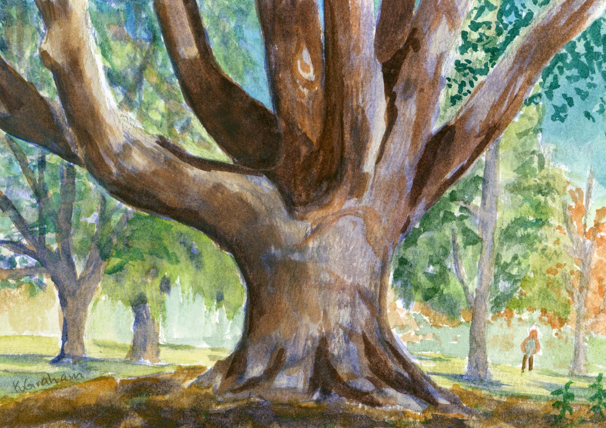 Plein Air  - Tree