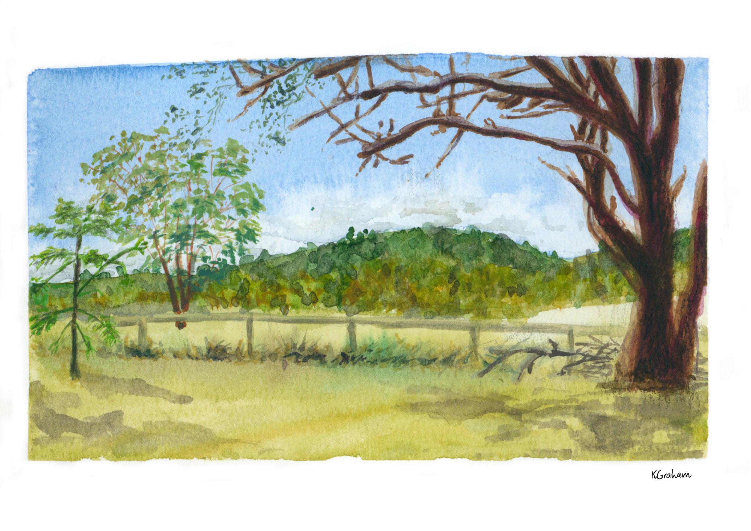 Plein Air - Horse Paddock