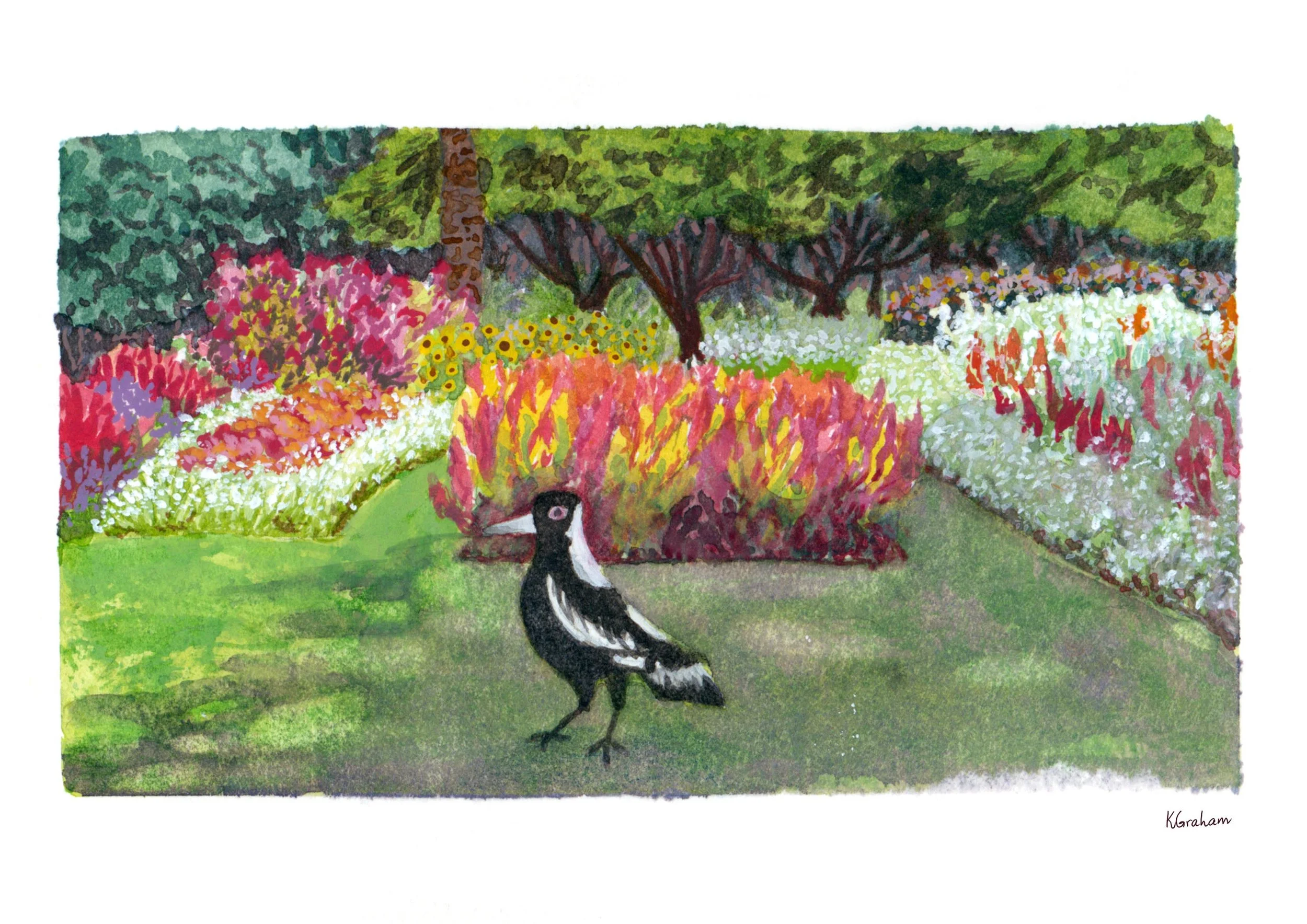 Plein Air - Queen's Park Magpie