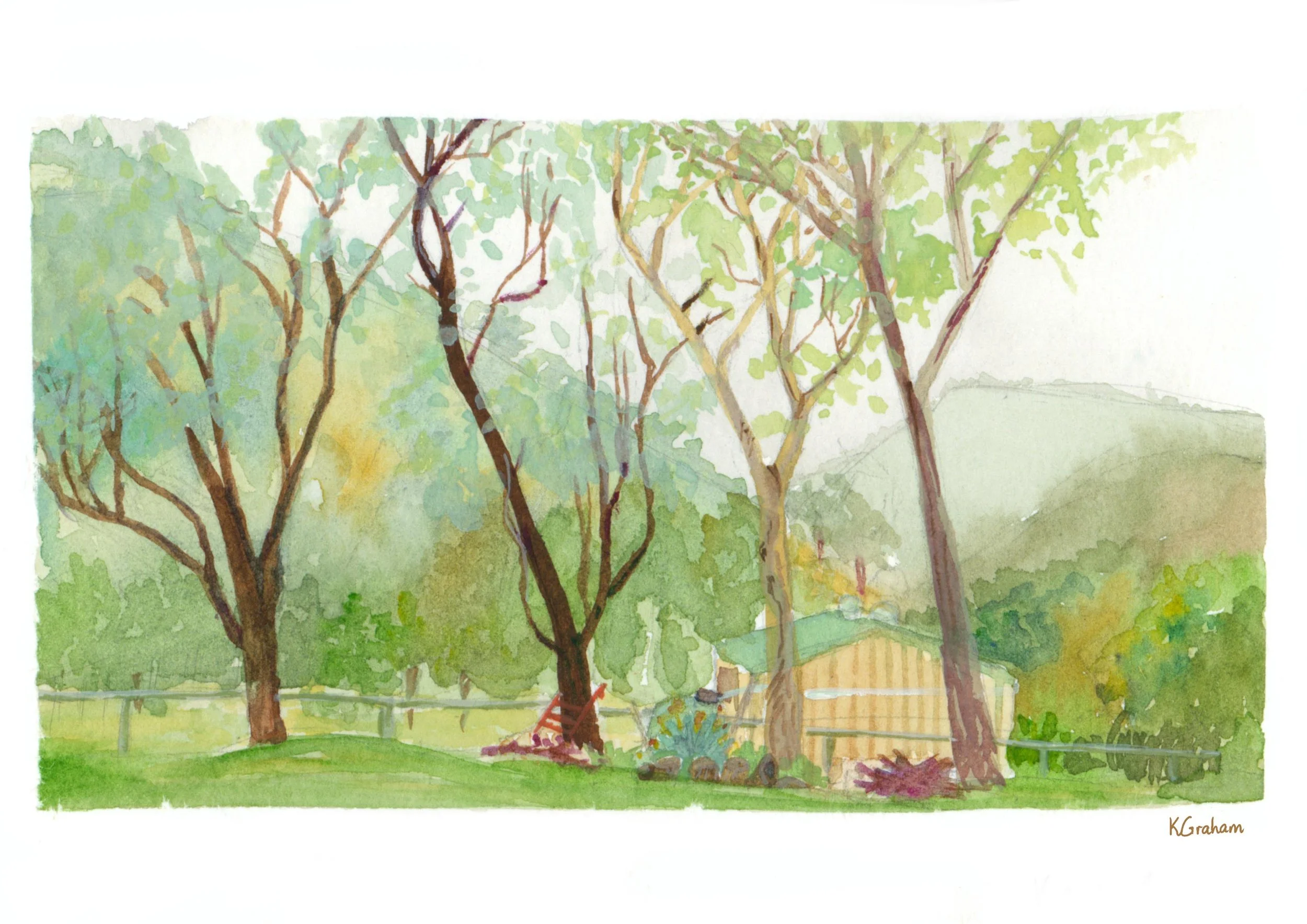 Plein Air - View from Shed