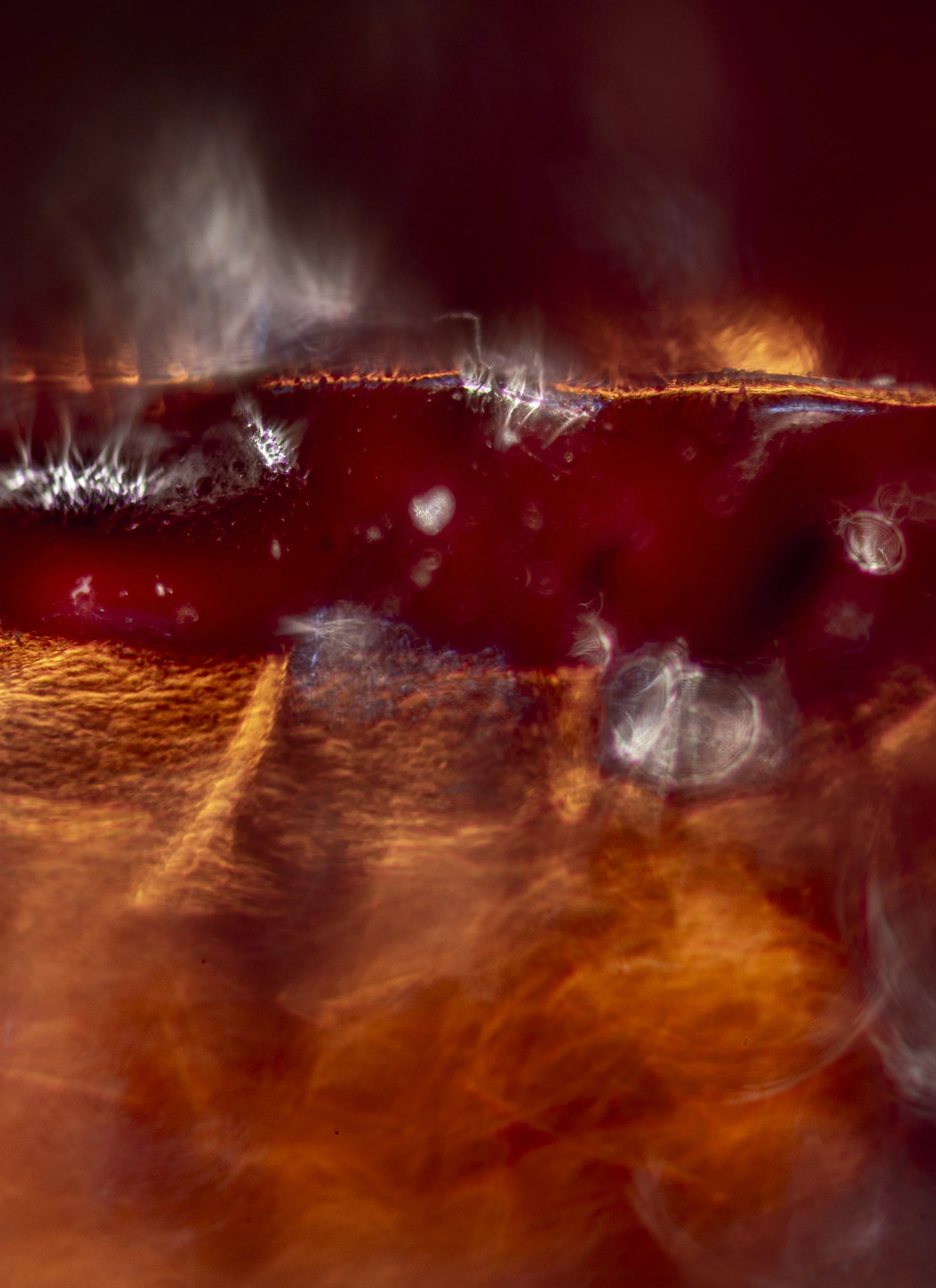 10.6.2.JUP50.4.11.25-6262 copy.jpg