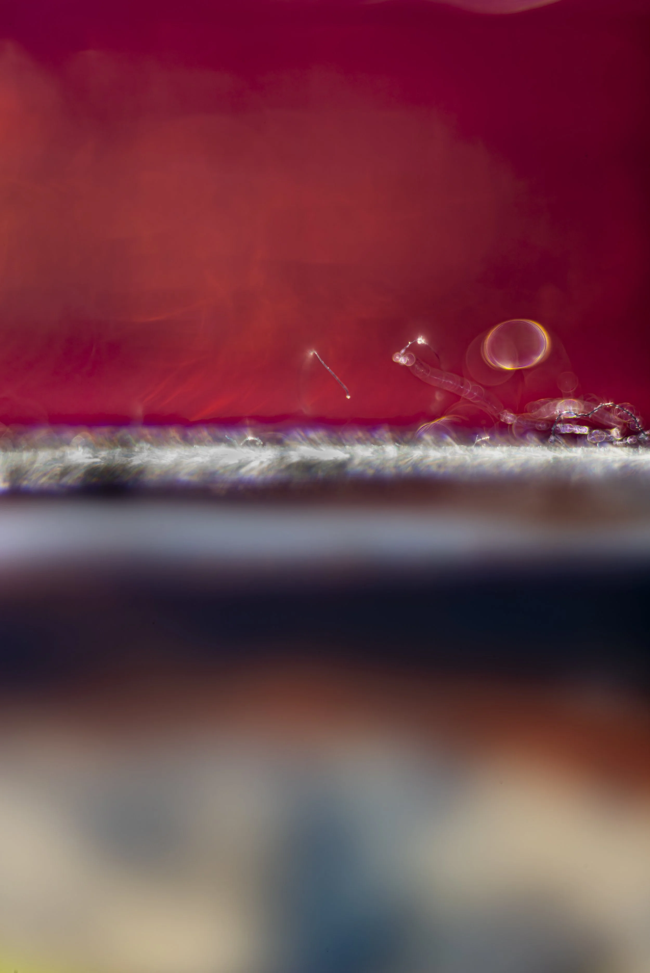 TBW.CAN85.5.11.24-2867E copy.jpg