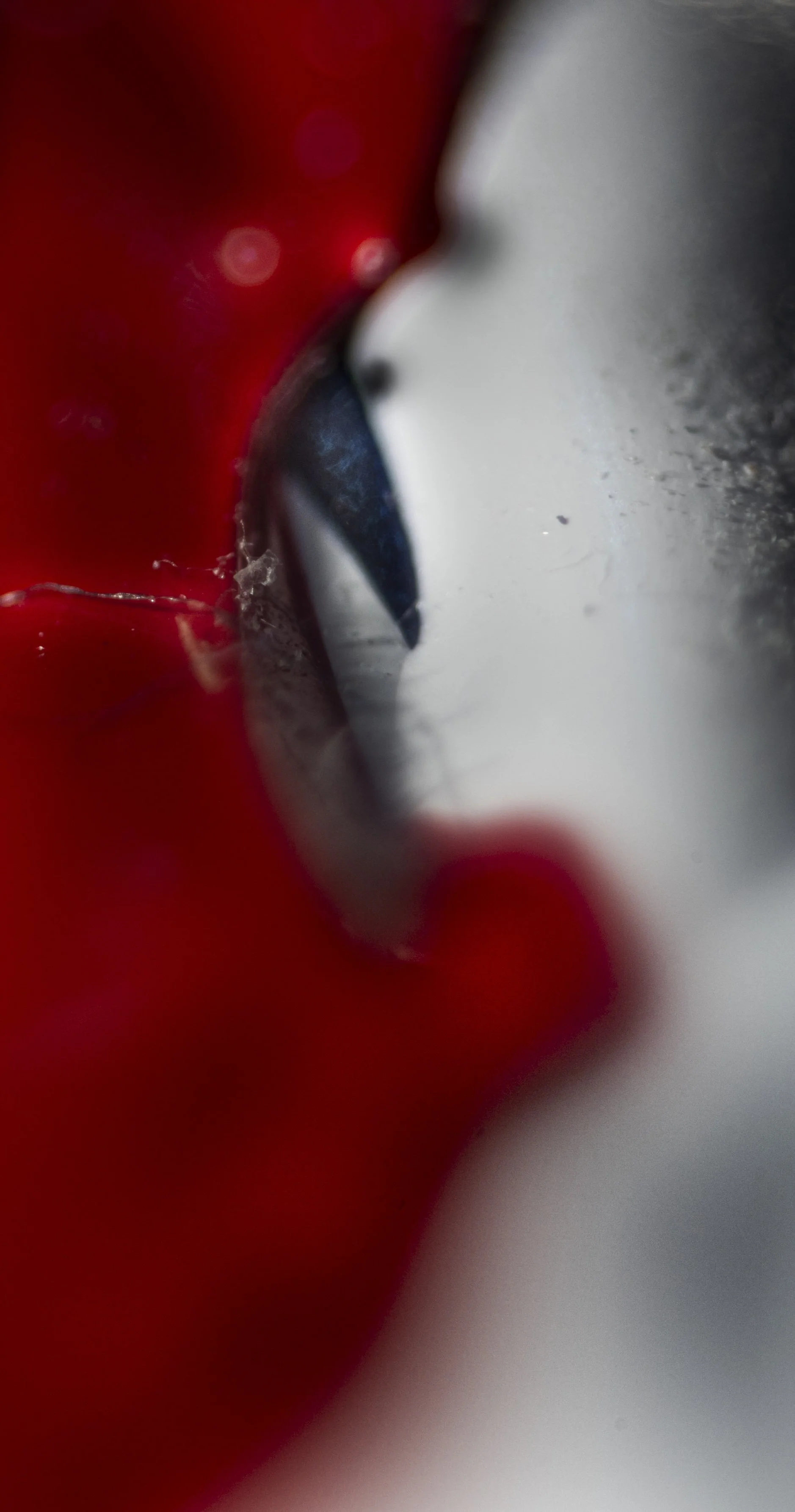 10.6.2.STEIN85.4.15.25-6762 copy.jpg