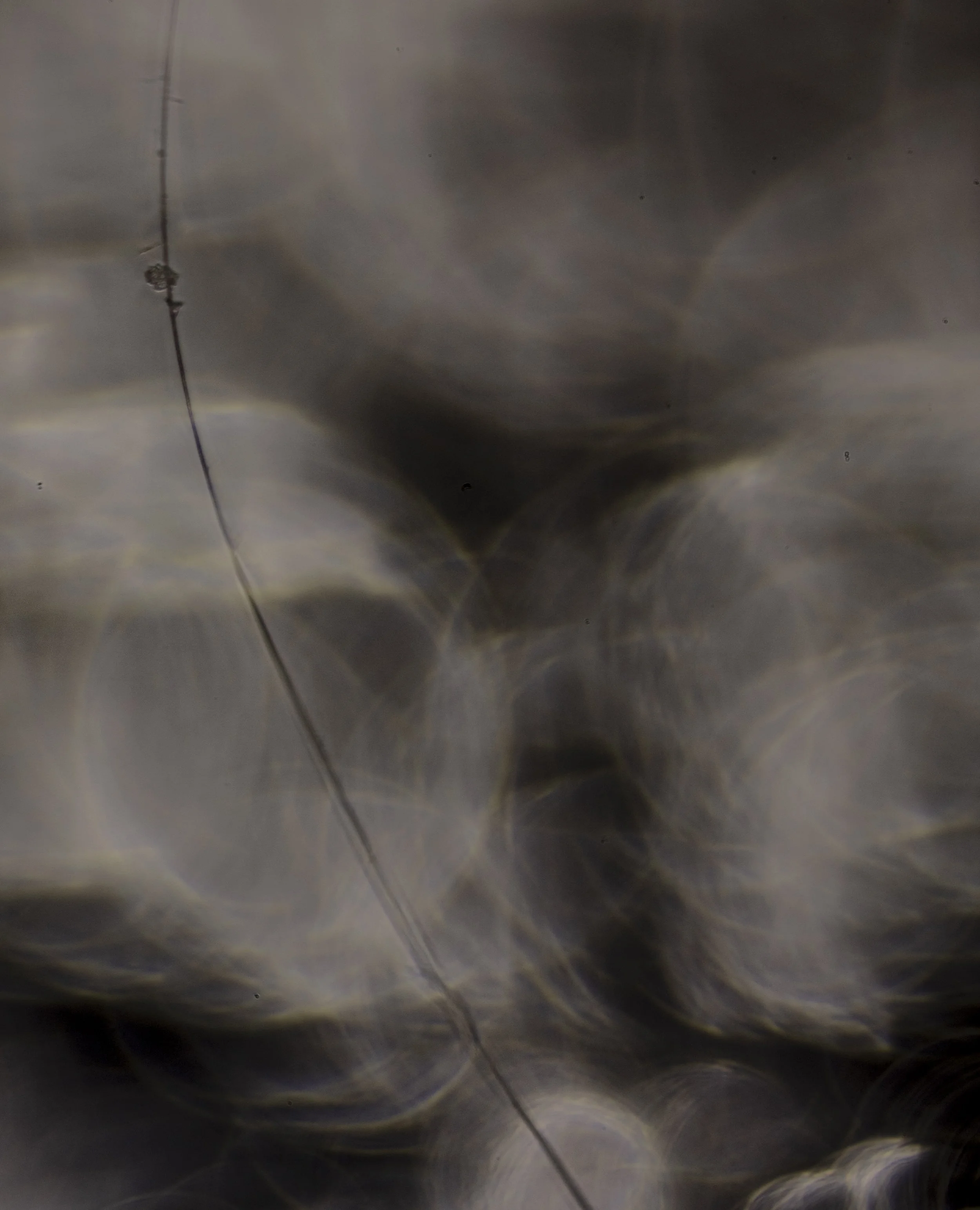 TBW.STEIN85.9.30.25-7887 copy.jpg