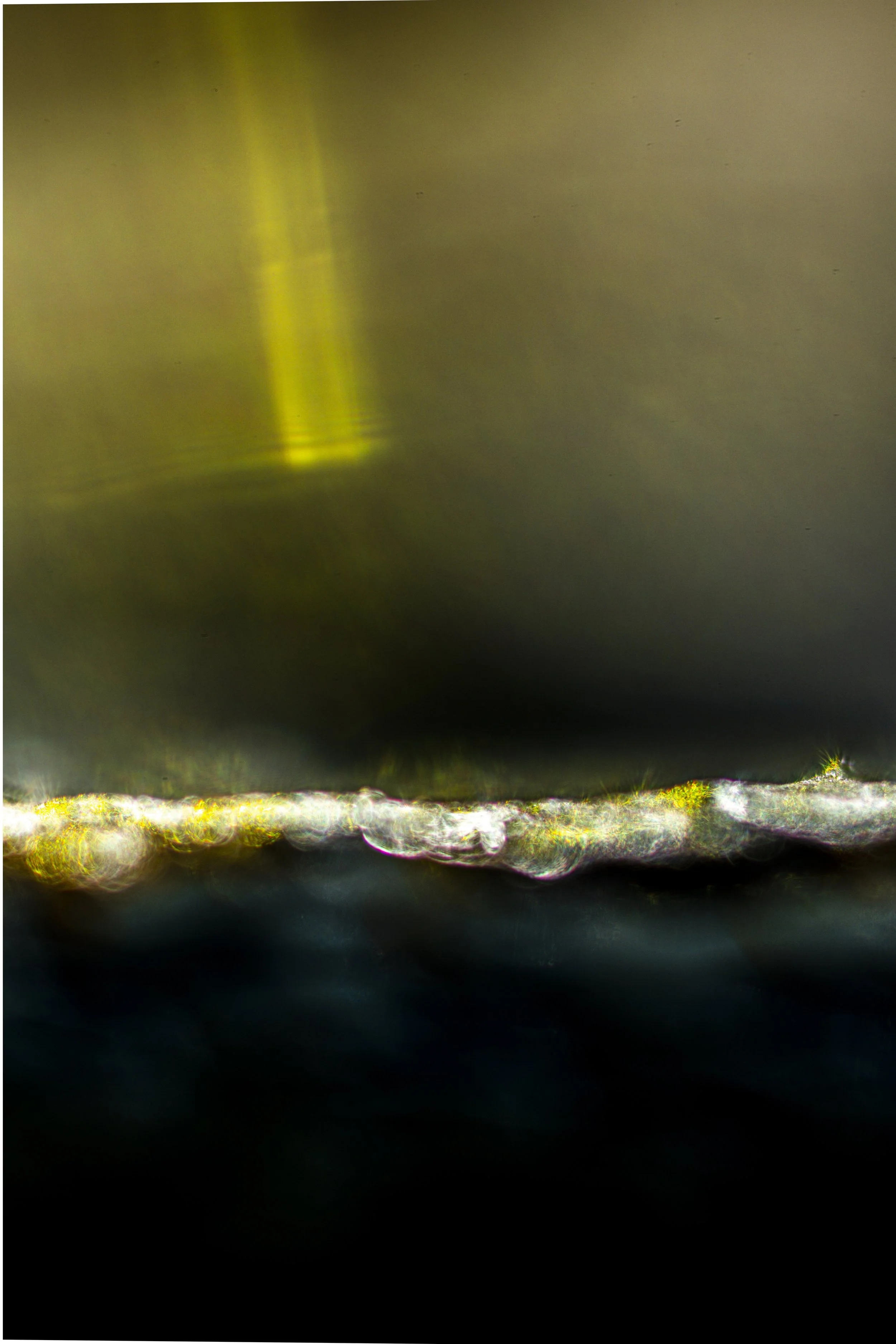 12.8.7..KAL100.RVRS.DBZ-1092(JUP650) copy.jpg