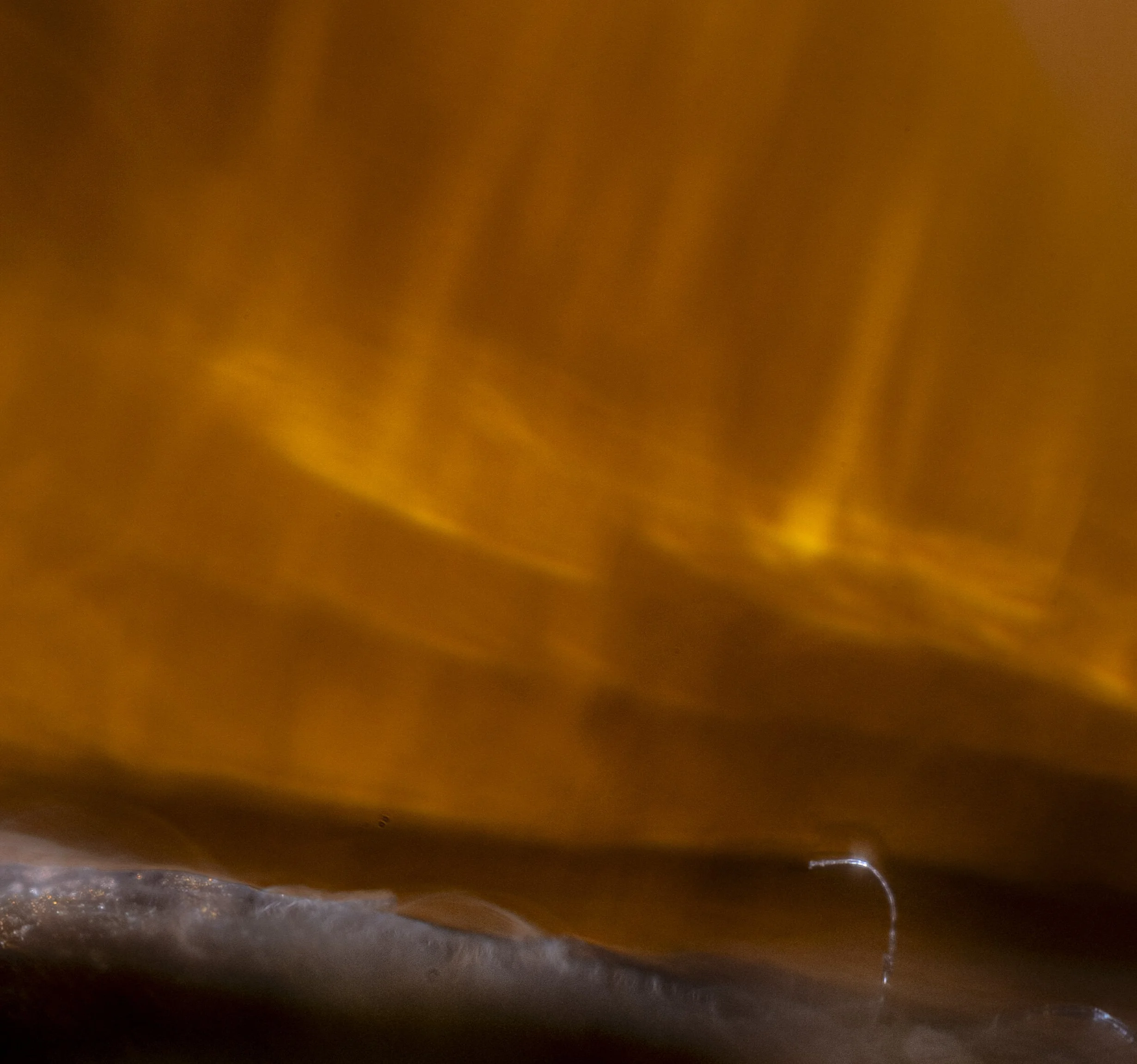 TBW.CAN85.12.6.25-13319 copy.jpg