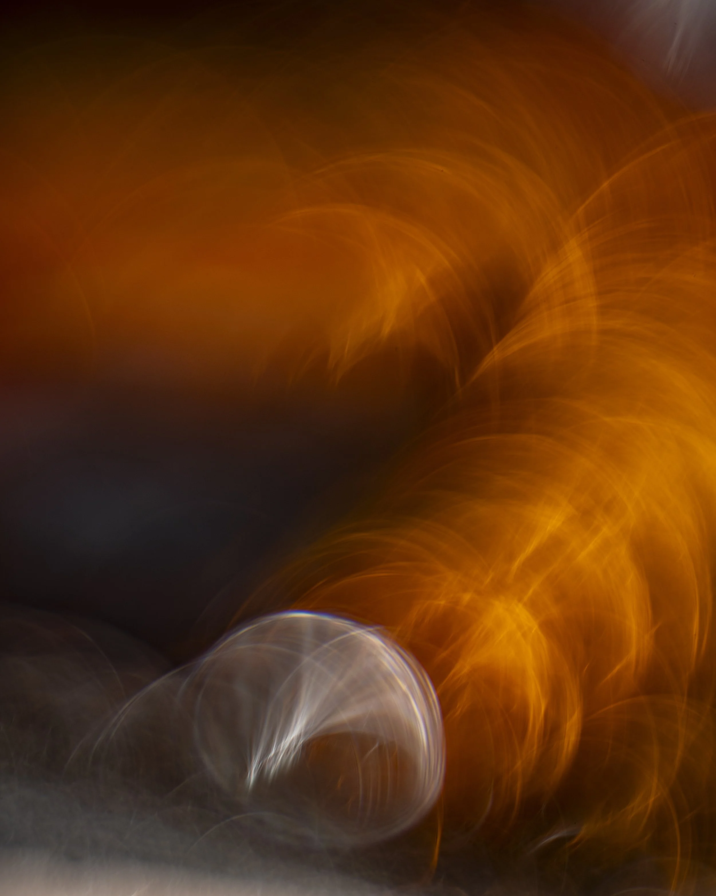 10.6.2.LB80S.2.7.25-2876 copy.jpg