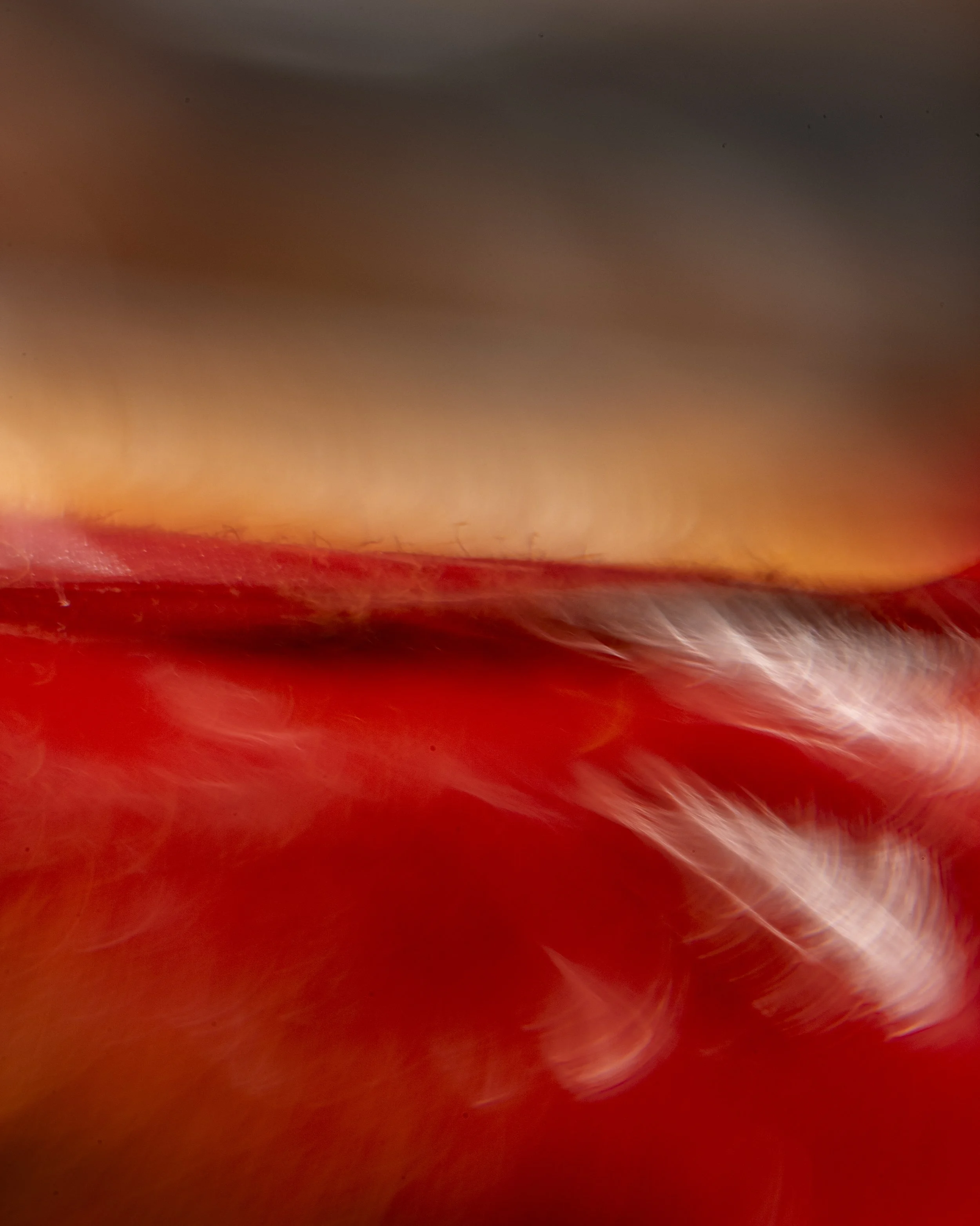 10.6.2.LB80s.1.28.25-2018 copy.jpg