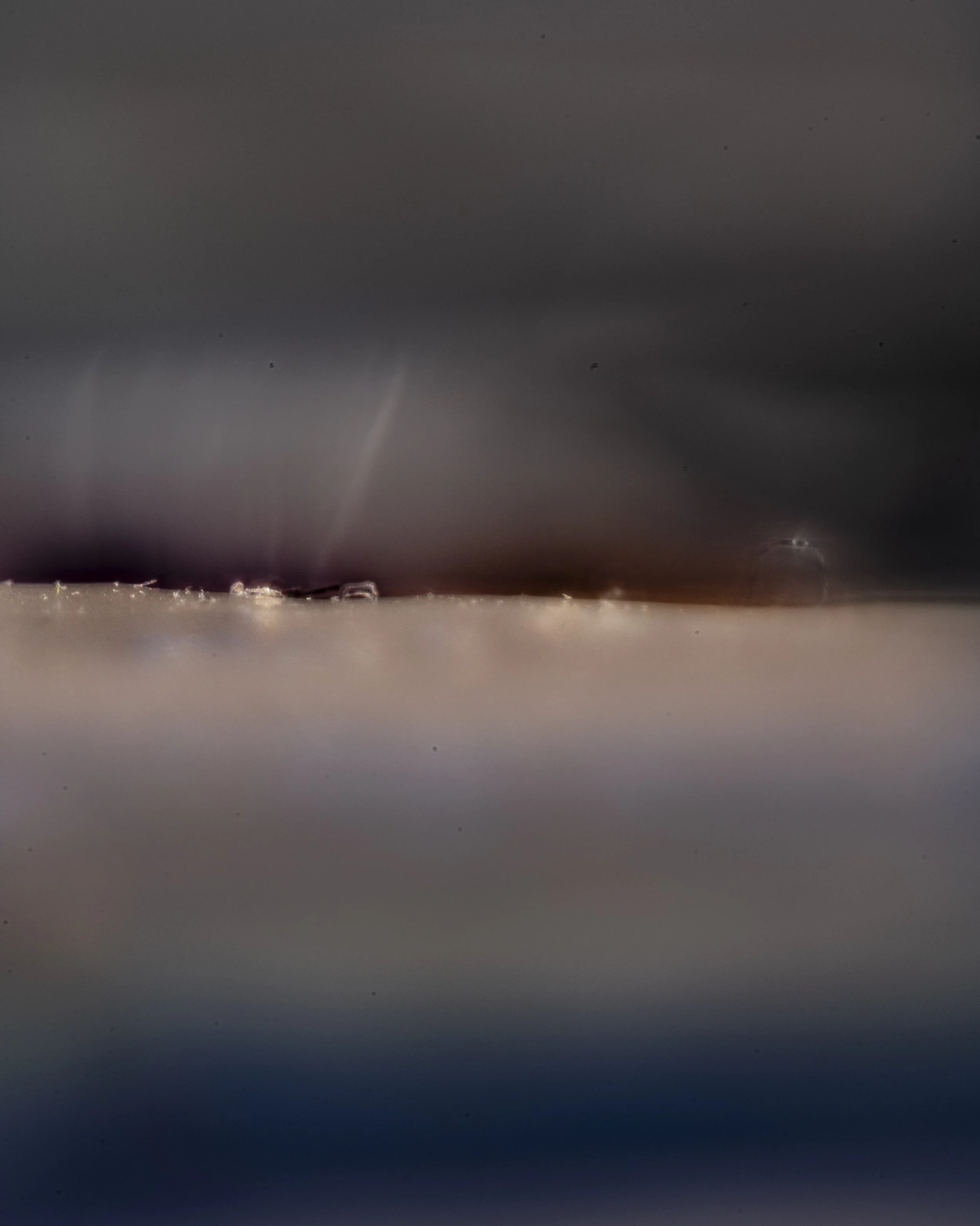 TBW.CAN85.9.5.25-6487 copy.jpg