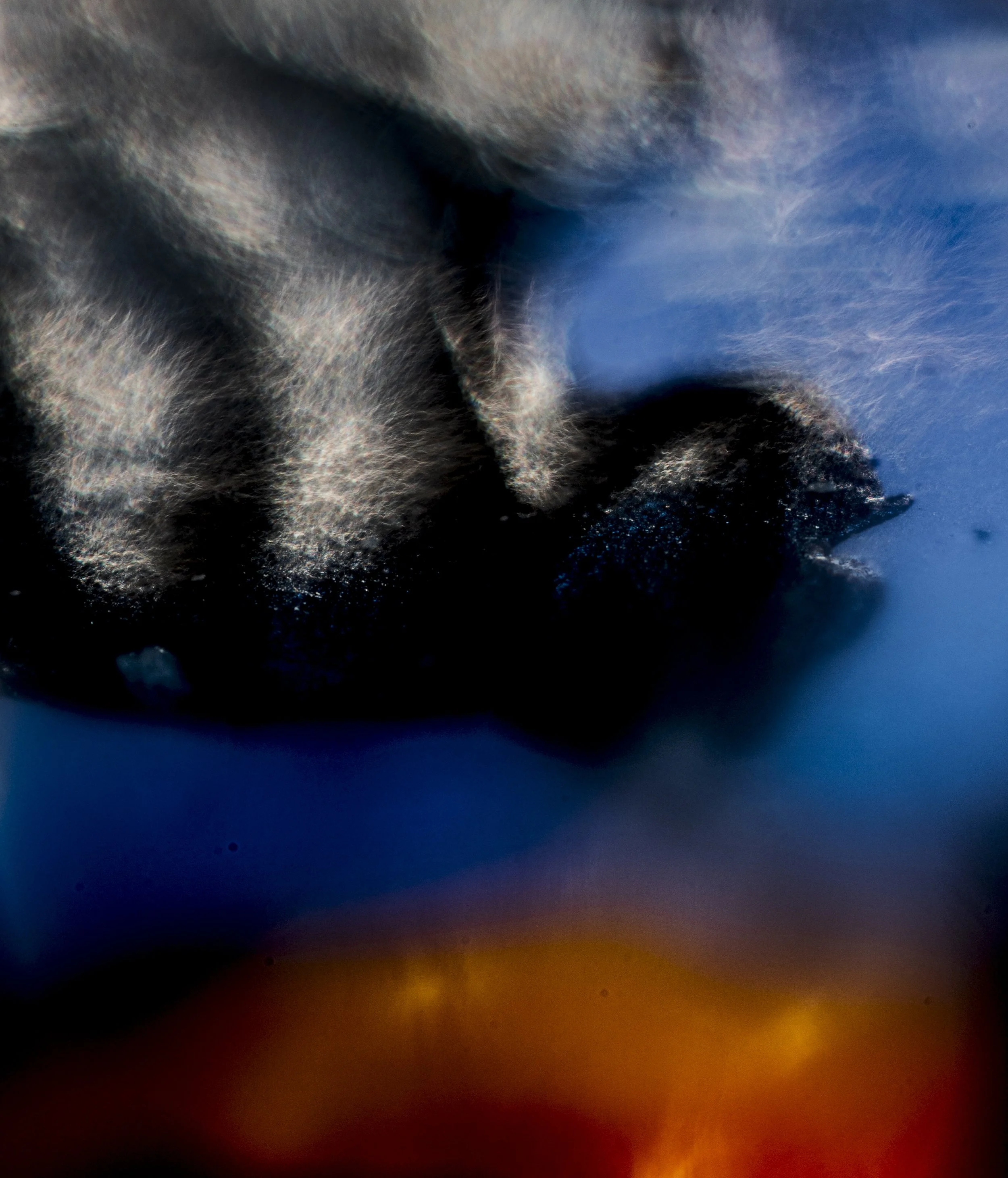 TBW.CAN85.11.16.25-11747 copy.jpg