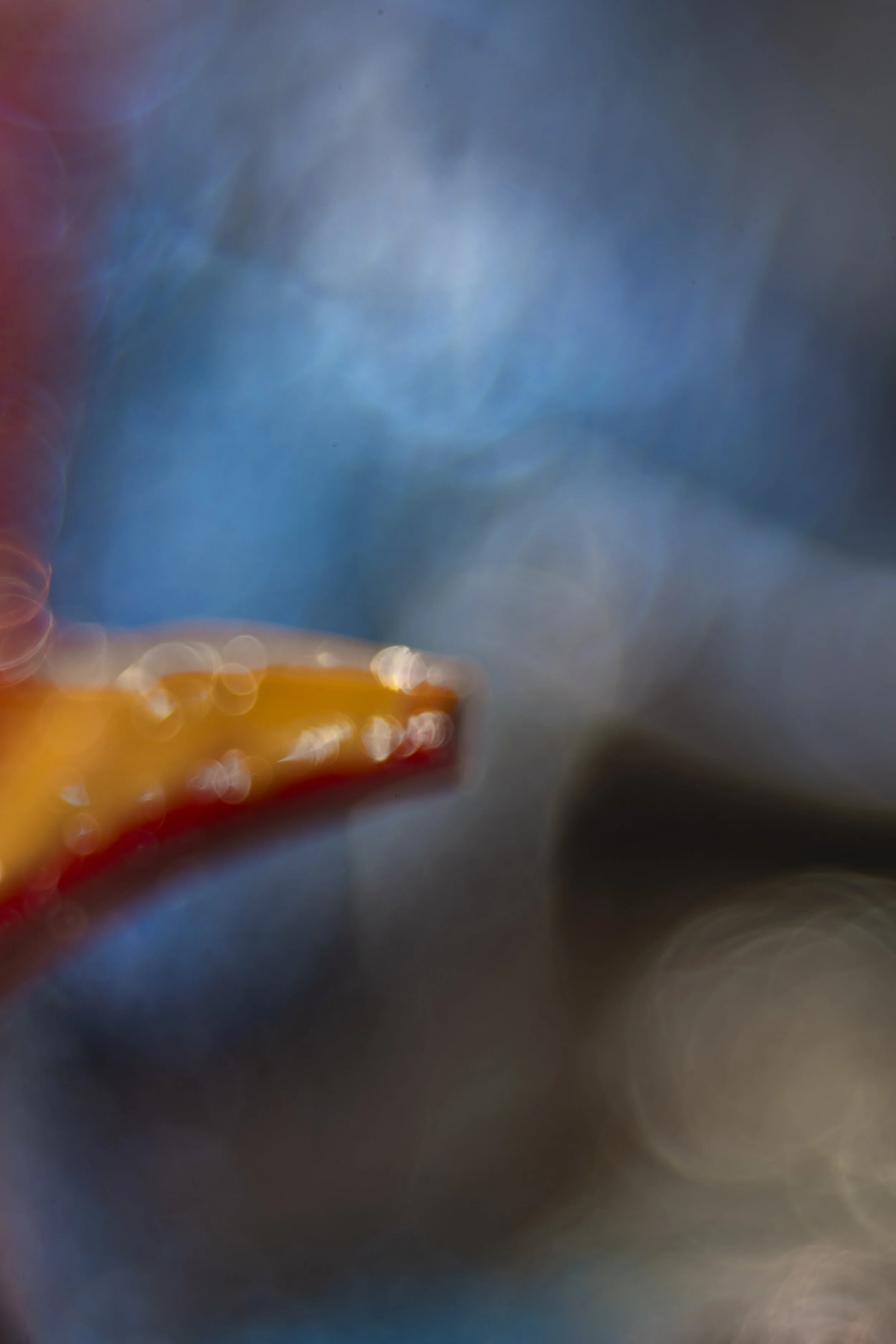 12.8.7.STEIN85.7.2.24-628 copy.jpg