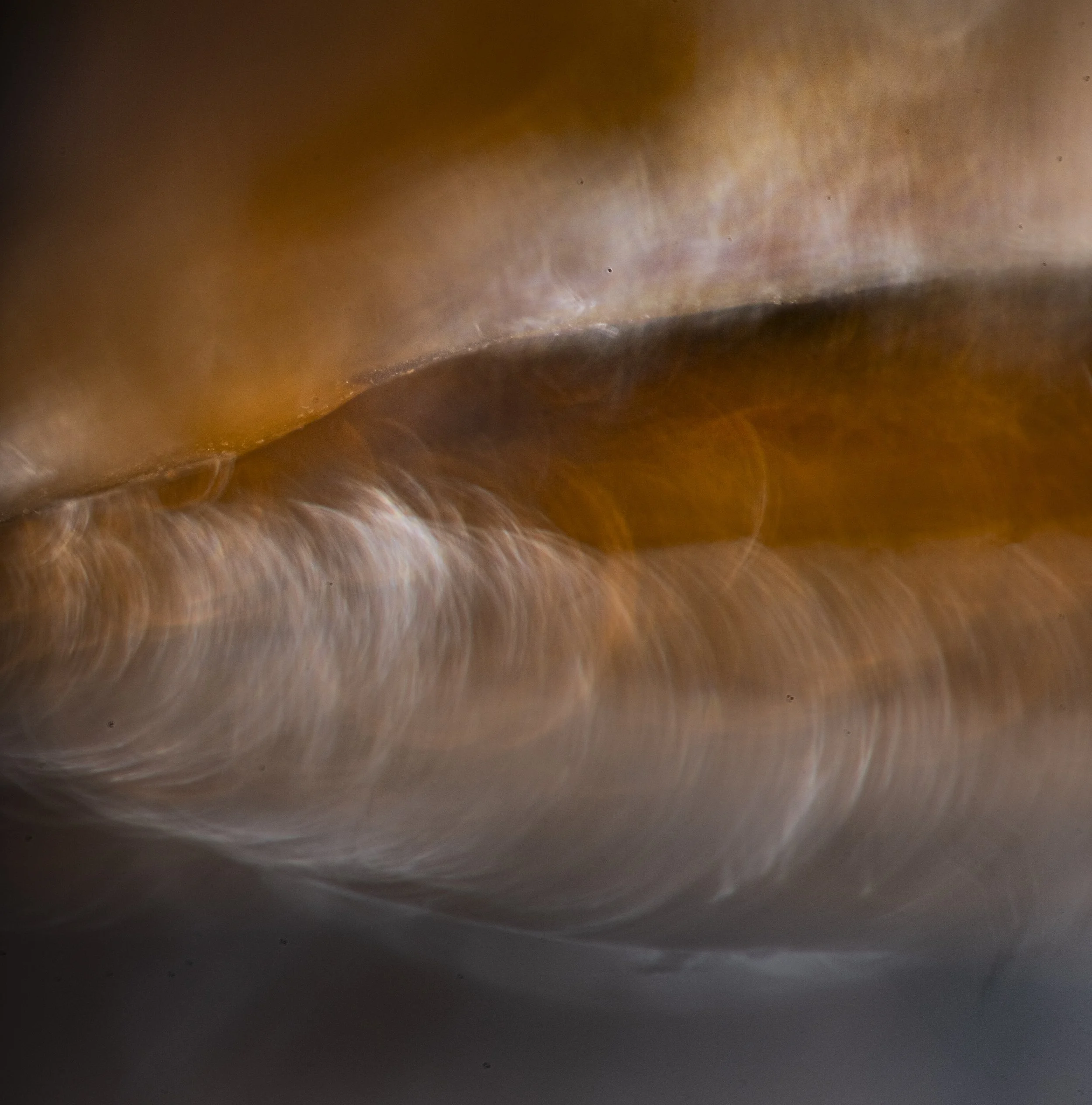 TBW.CAN85.9.1.25-6156 copy.jpg