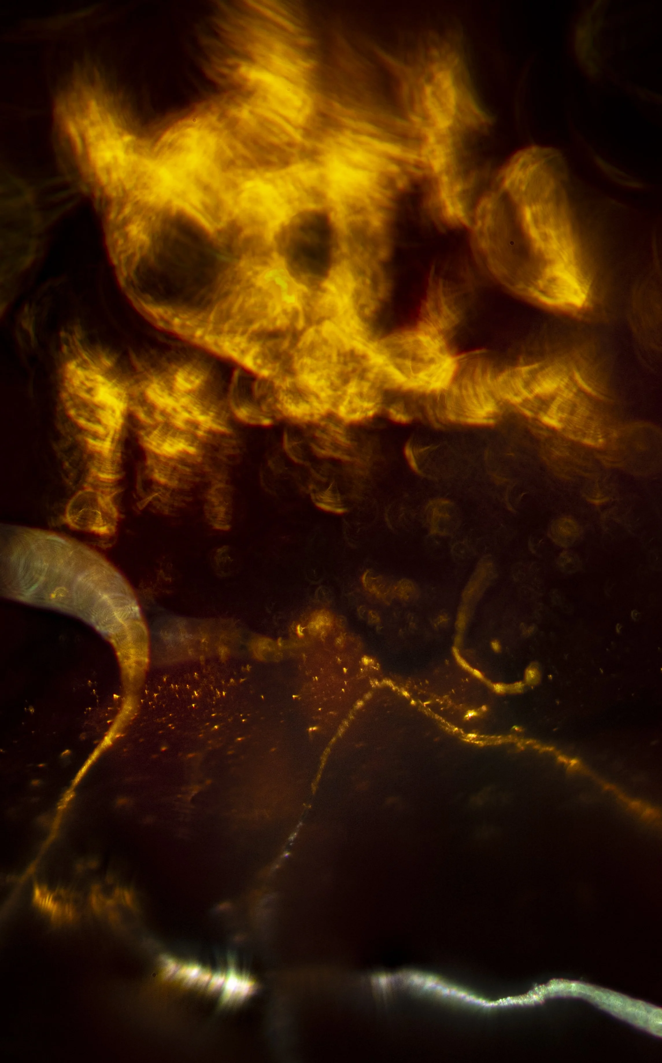 10.6.2.JUP50.4.13.25-6472 copy.jpg