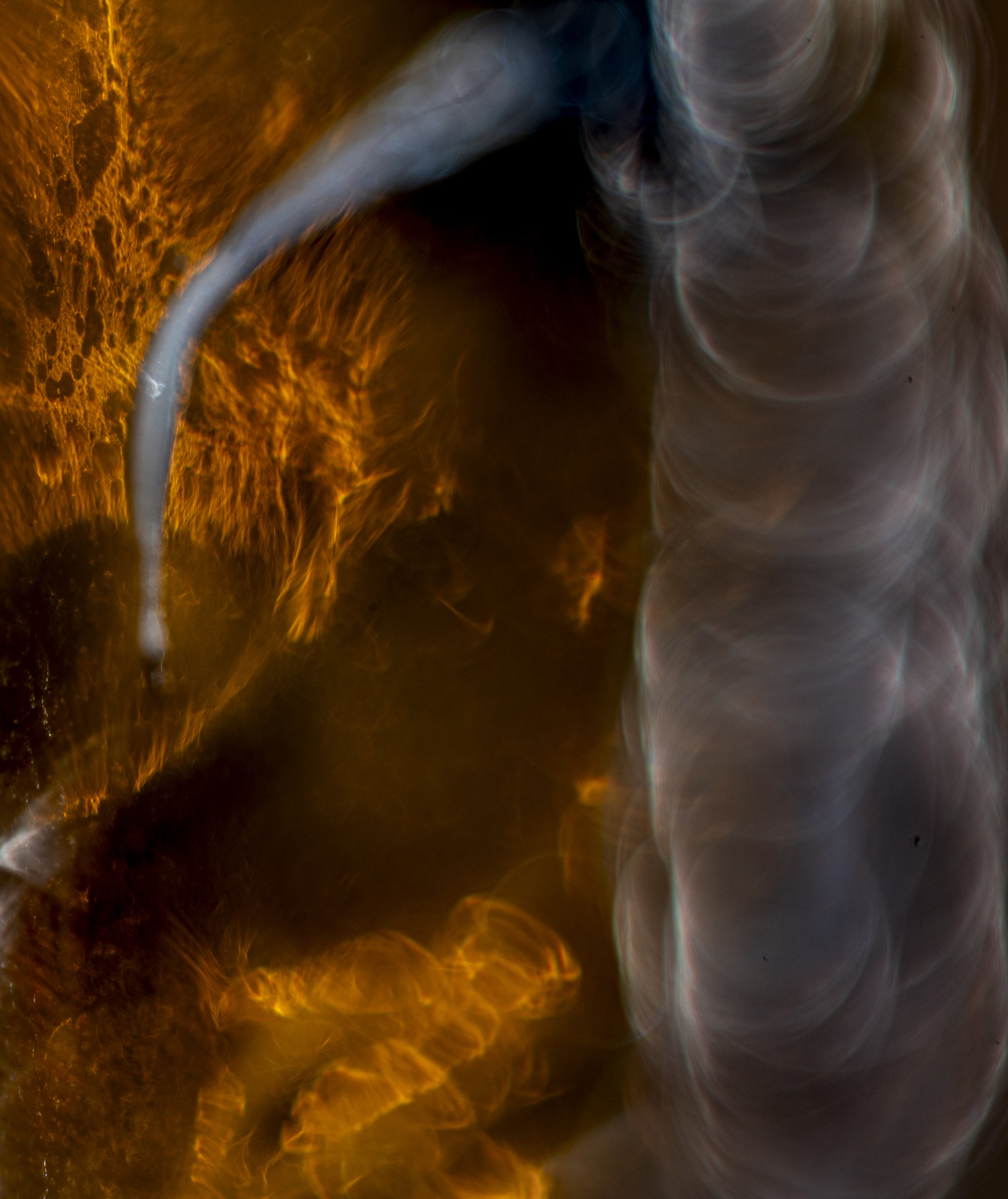 TBW.CAN85.10.25.25-9925 copy.jpg